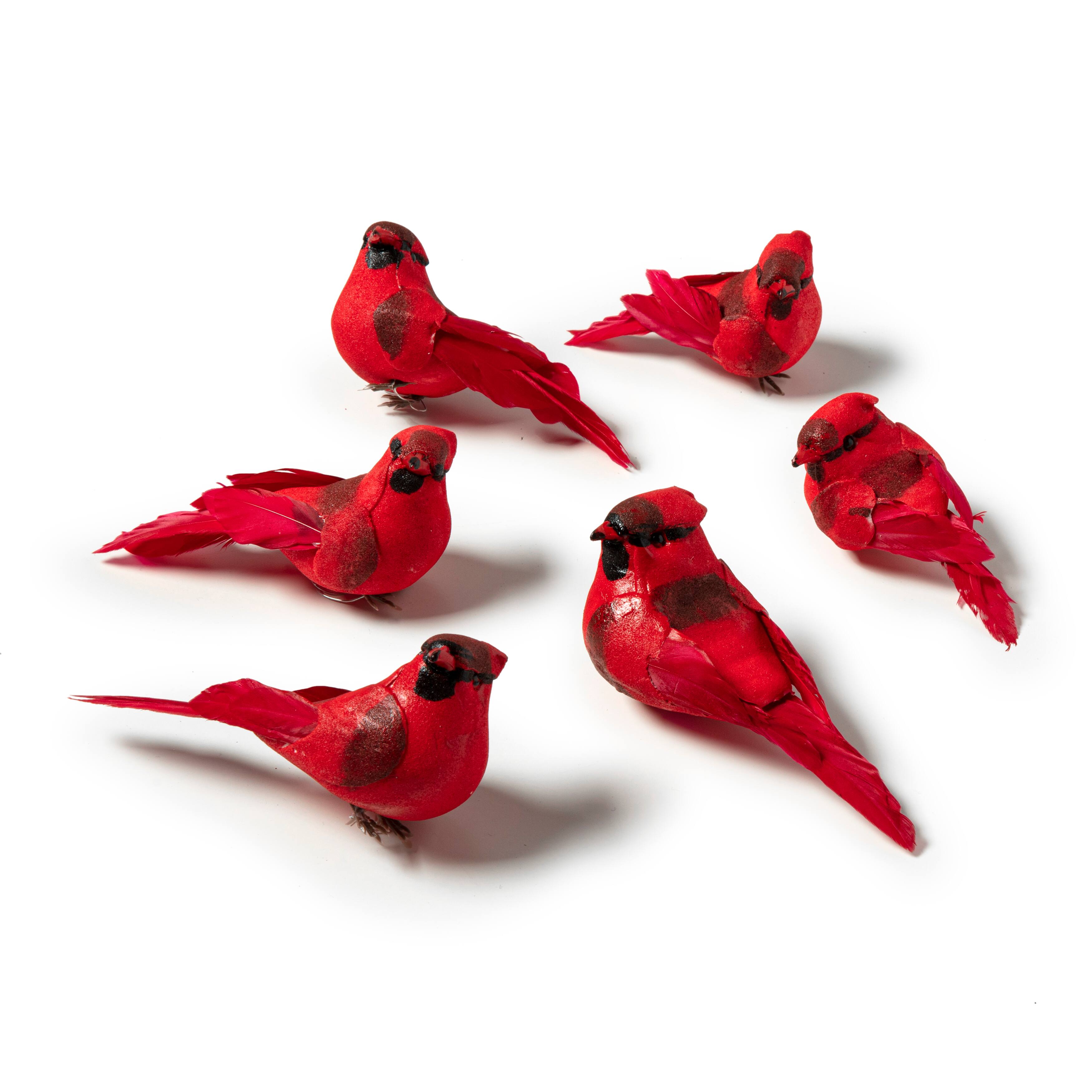 6 Packs: 6 ct. (36 total) Red Feather Cardinals by Ashland&#xAE;
