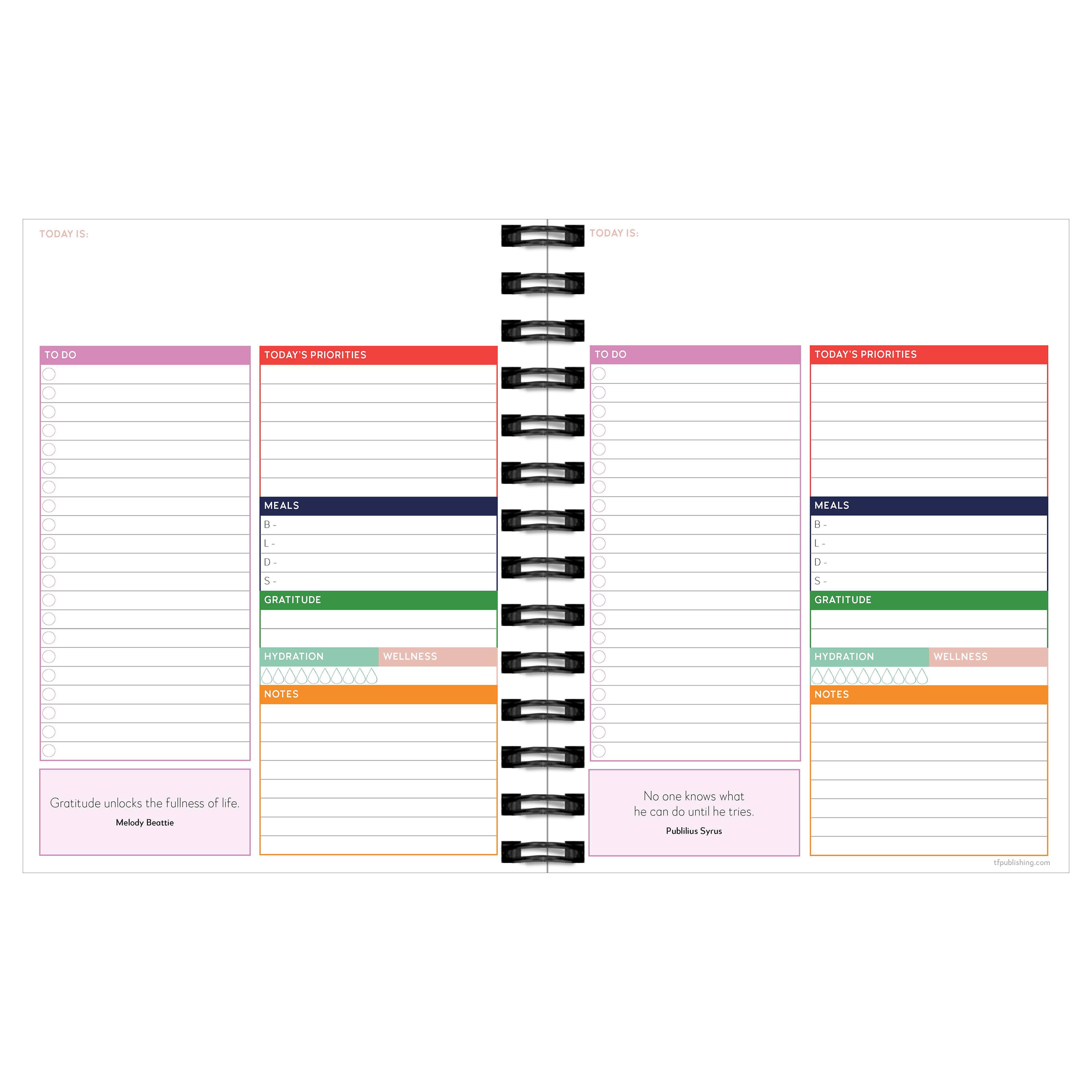 Striped Daily Monthly Luxe Planner