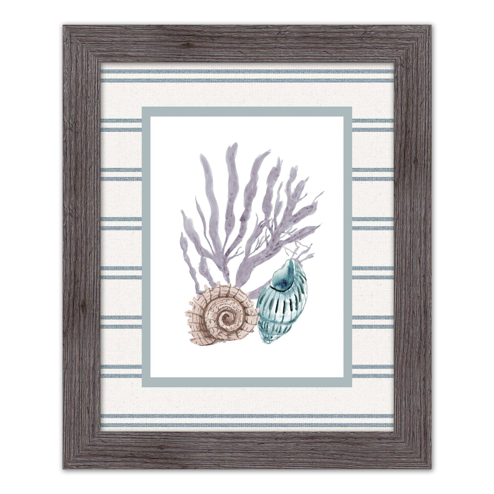 Snail & Banded Tulip Shell Western Framed Print