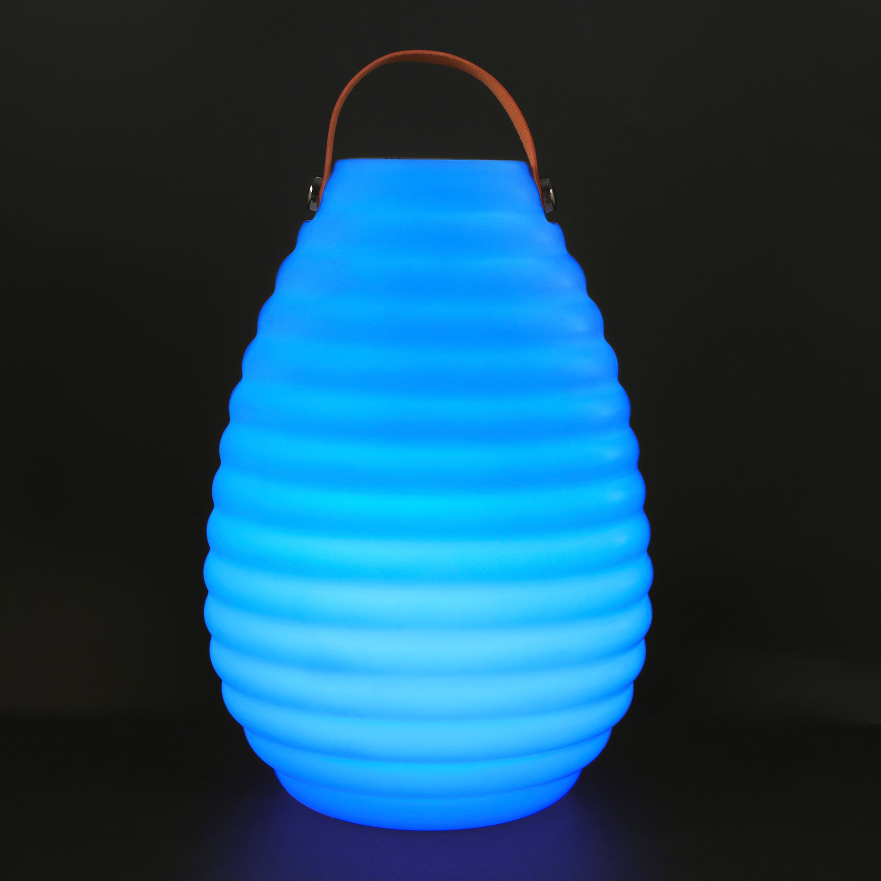 13.5&#x22; Solar Lantern by Ashland&#xAE;