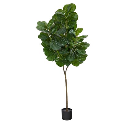 6ft. Potted Fiddle Leaf Fig Tree | Michaels