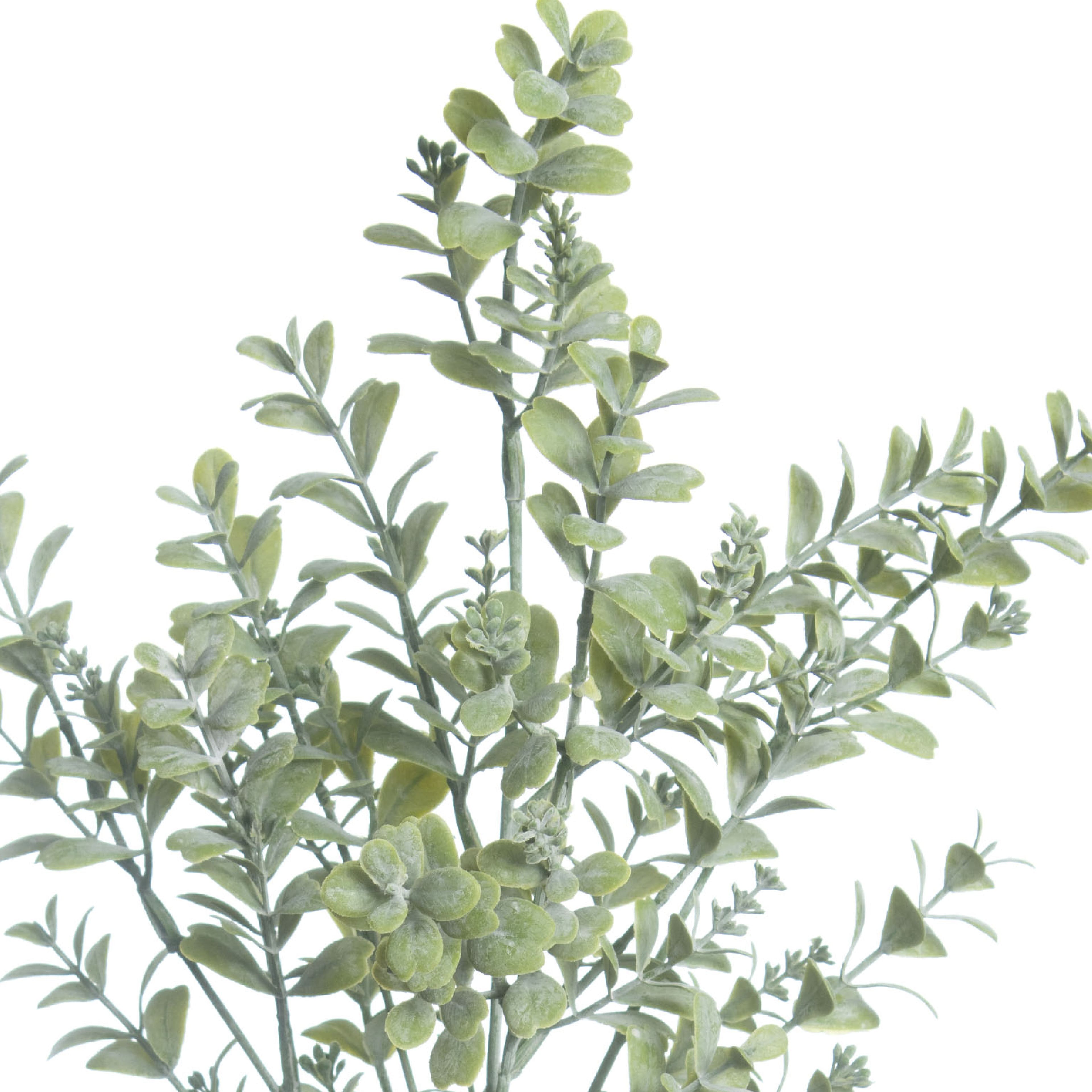 27&#x22; Light Green Mini Boxwood Stem by Ashland&#xAE;