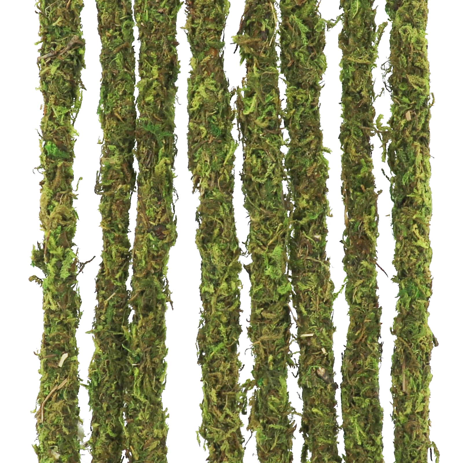 9&#x22; Moss Crafting Stems by Ashland&#xAE;, 8ct.