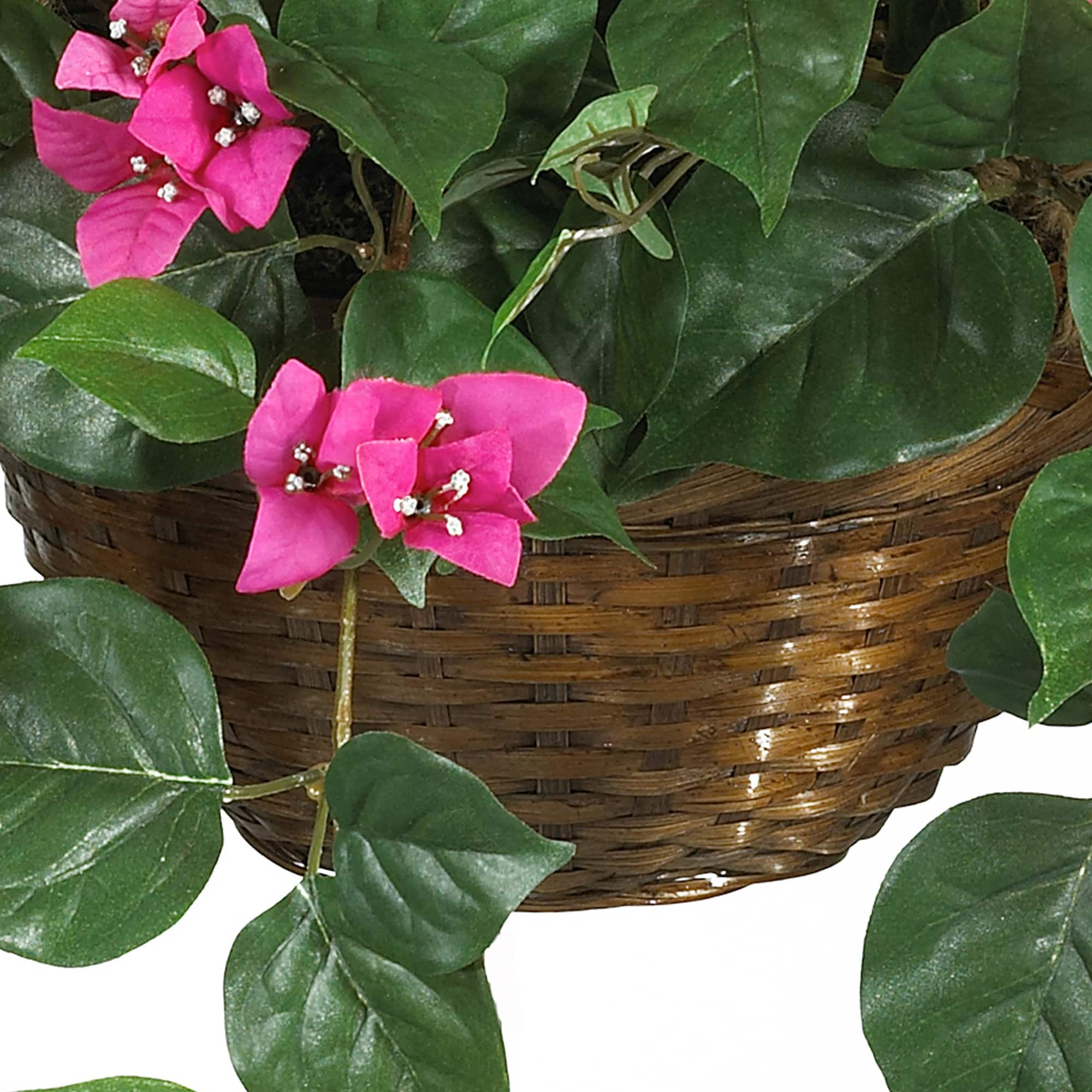 24&#x22; Pink Bougainvillea Hanging Basket