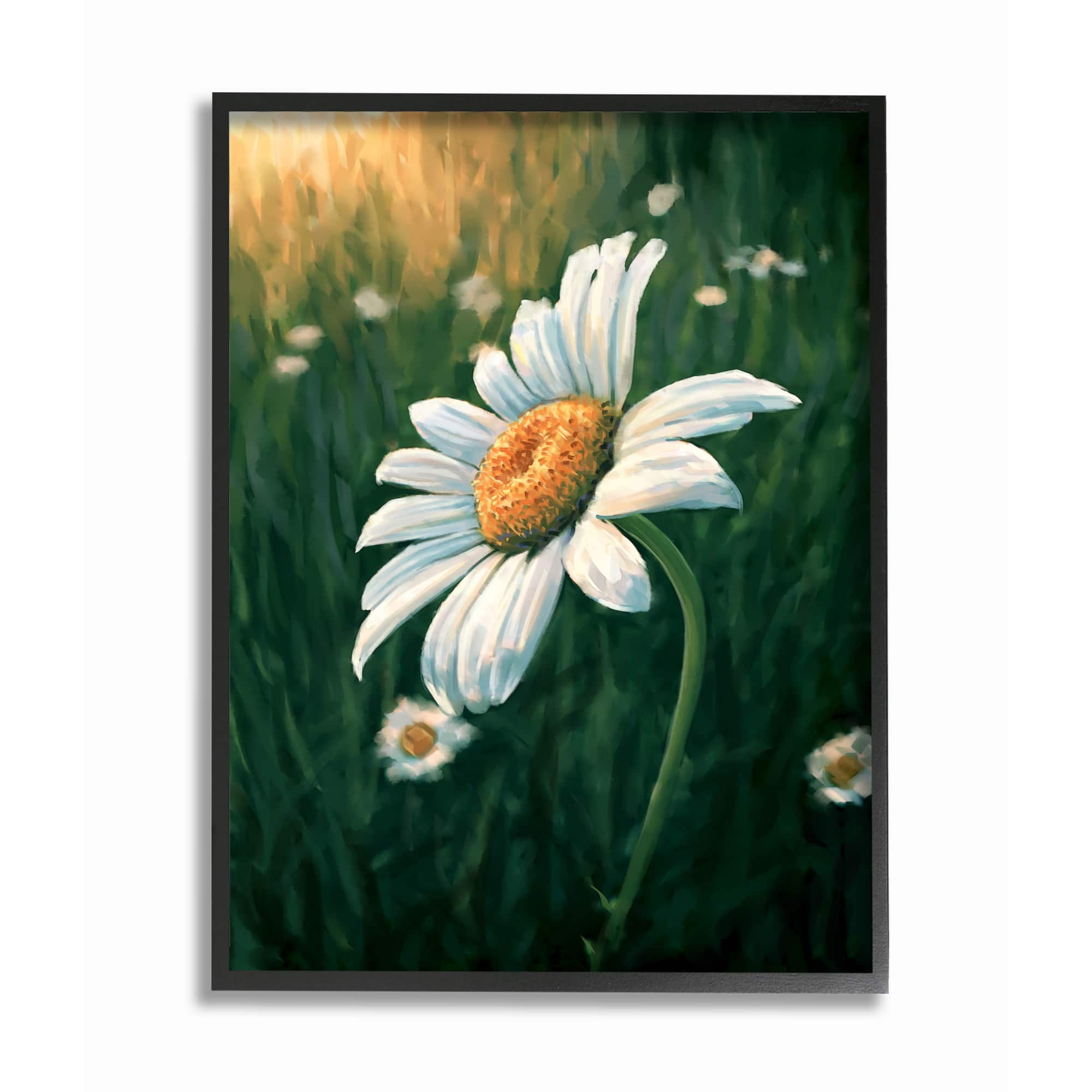 Stupell Industries Daisy Details in Field of Spring Flowers Wall Art in Black Frame