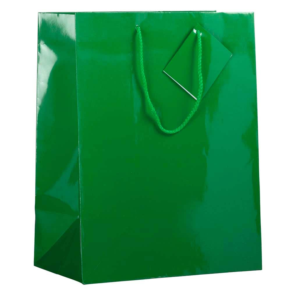 JAM Paper Large Glossy Gift Bags with Rope Handles, 3ct.