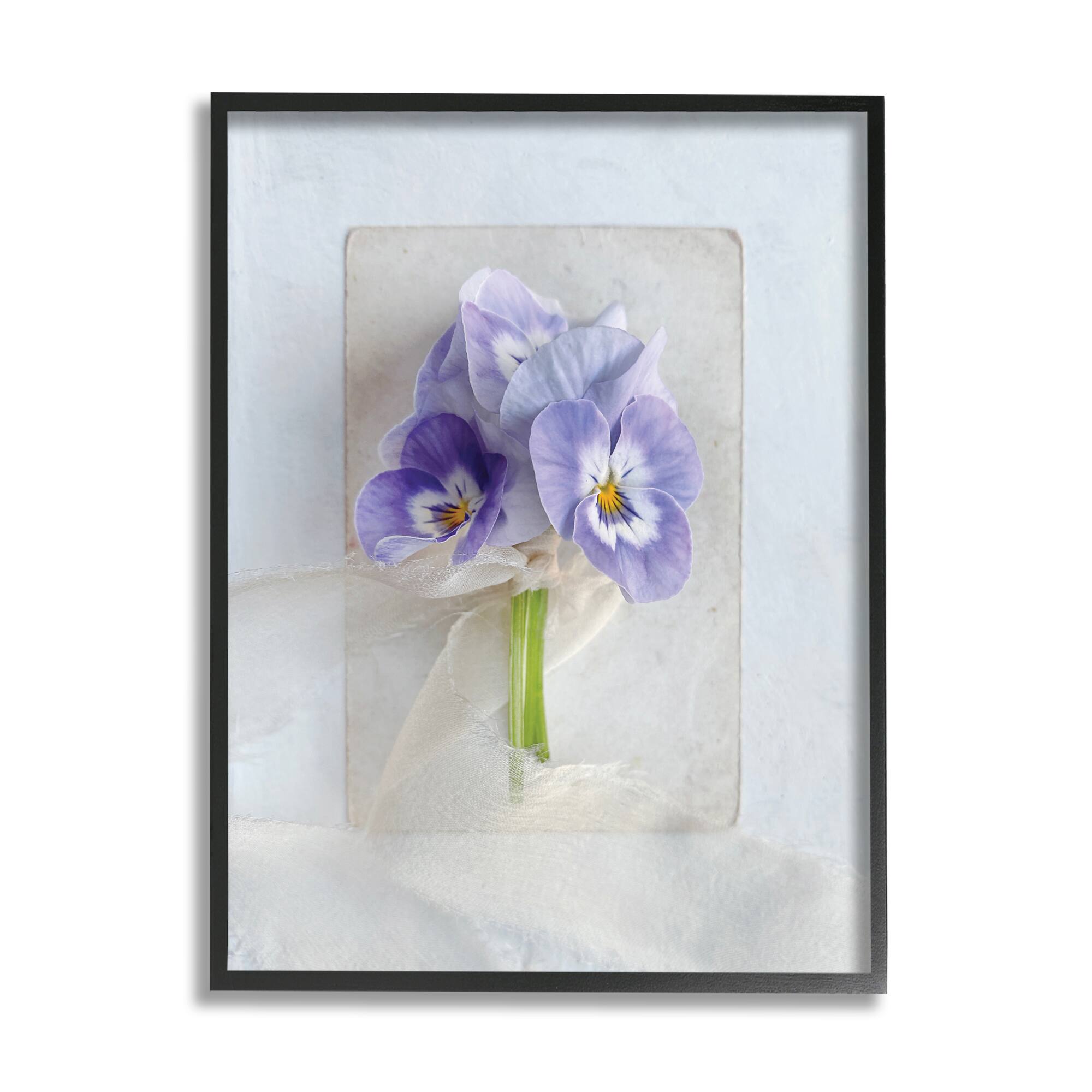 Stupell Industries Violets Wrapped in Sheer Soft Country Floral in Black Frame Wall Art