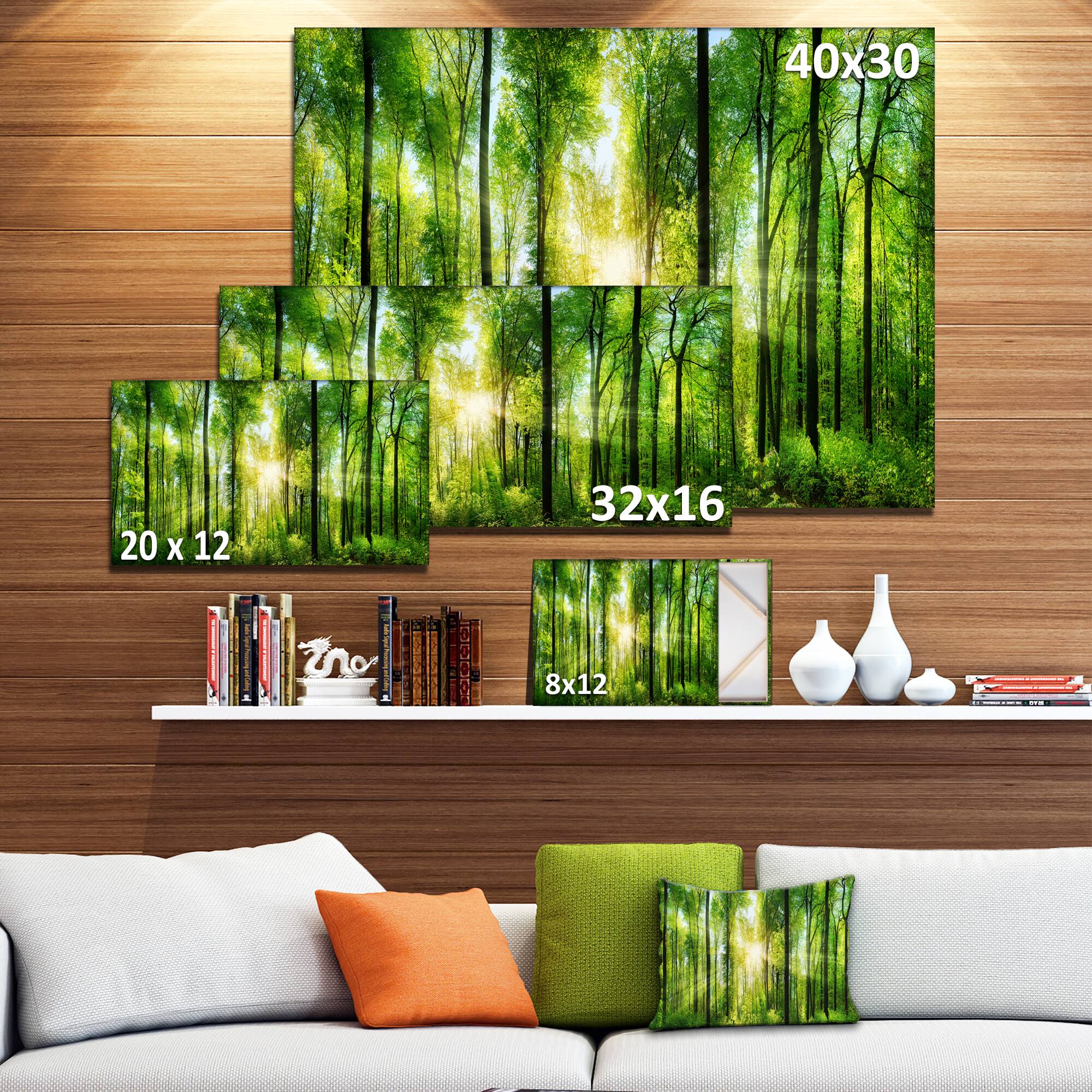 Designart - Forest with Rays of Sun Panorama - Landscape Art Print Canvas