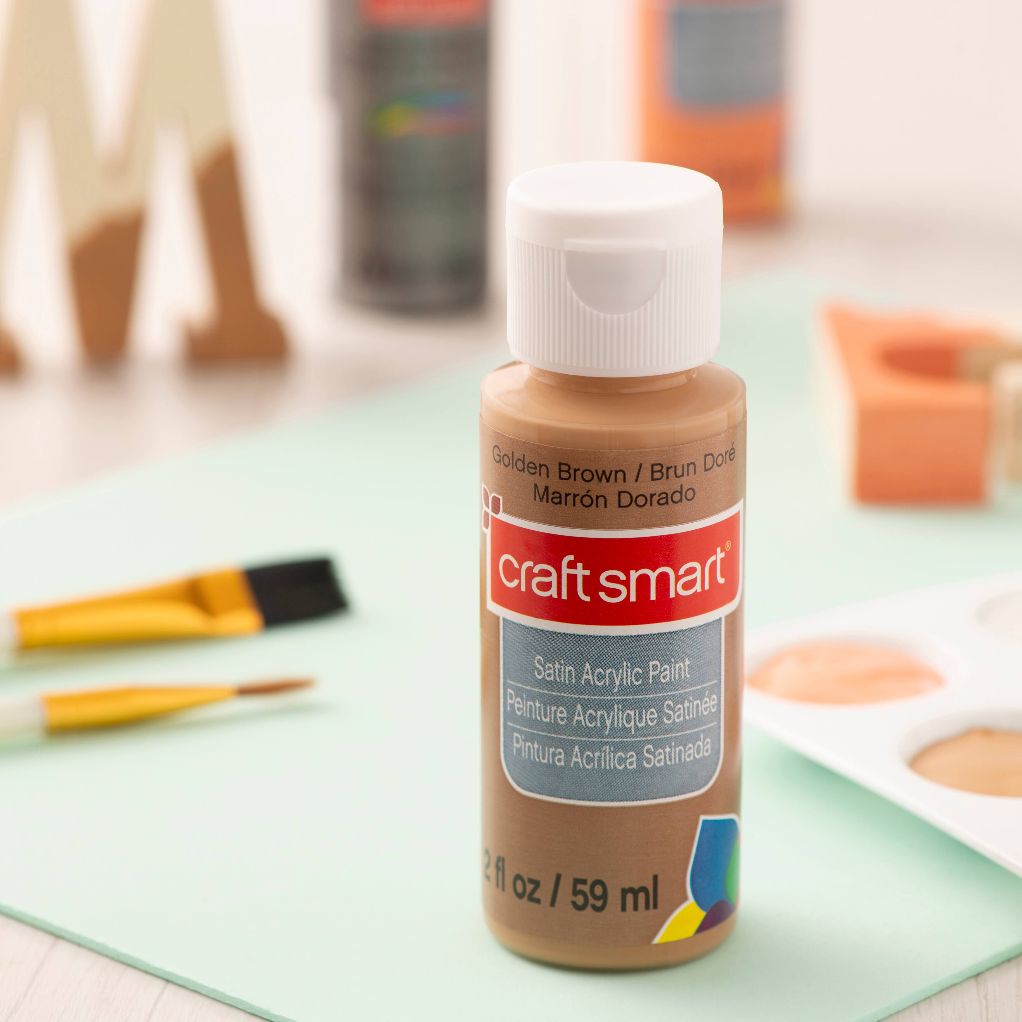 12 Pack: Satin Acrylic Paint by Craft Smart&#xAE;, 2oz.