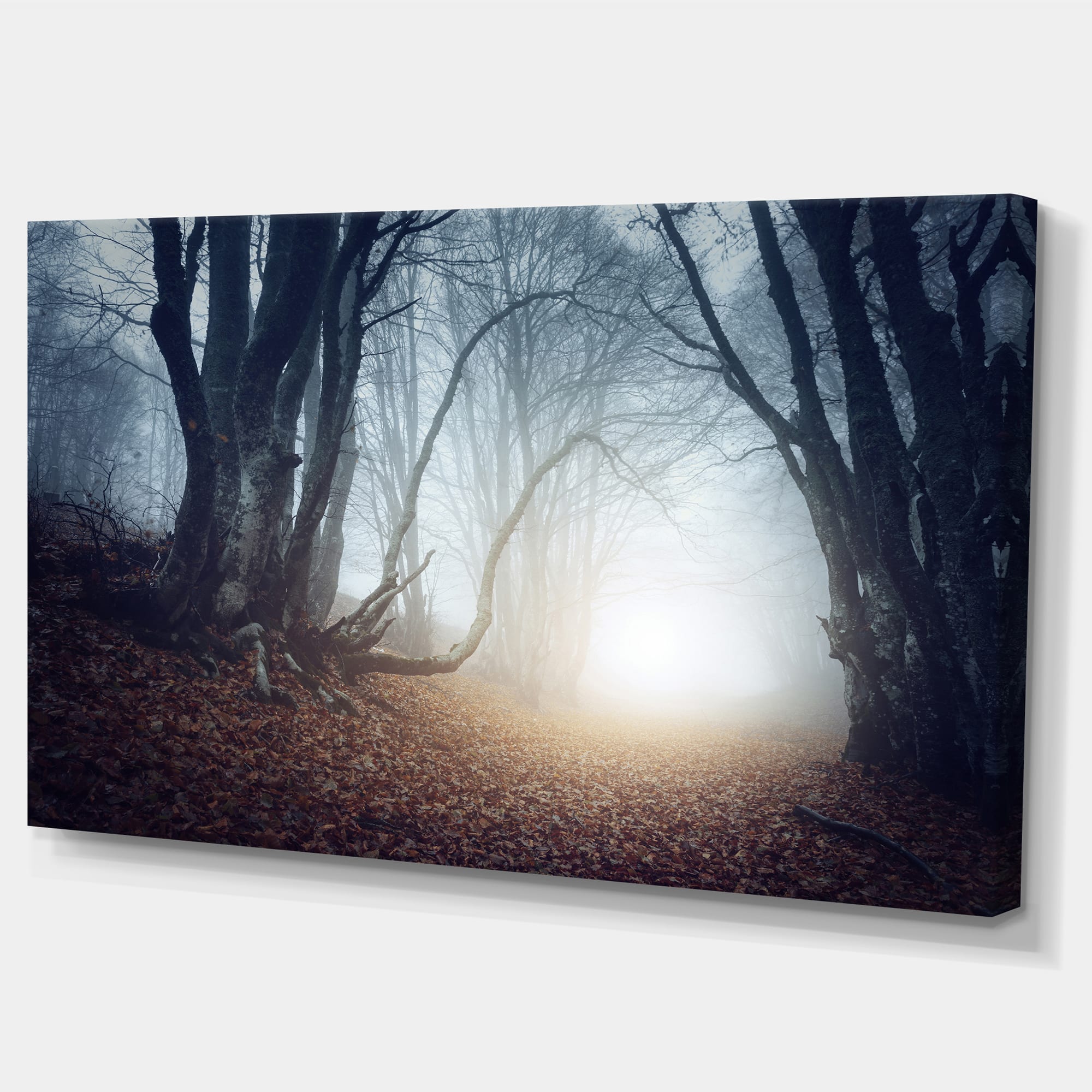 Designart - Magical Trees in Mysterious Forest - Modern Forest Canvas Wall Art