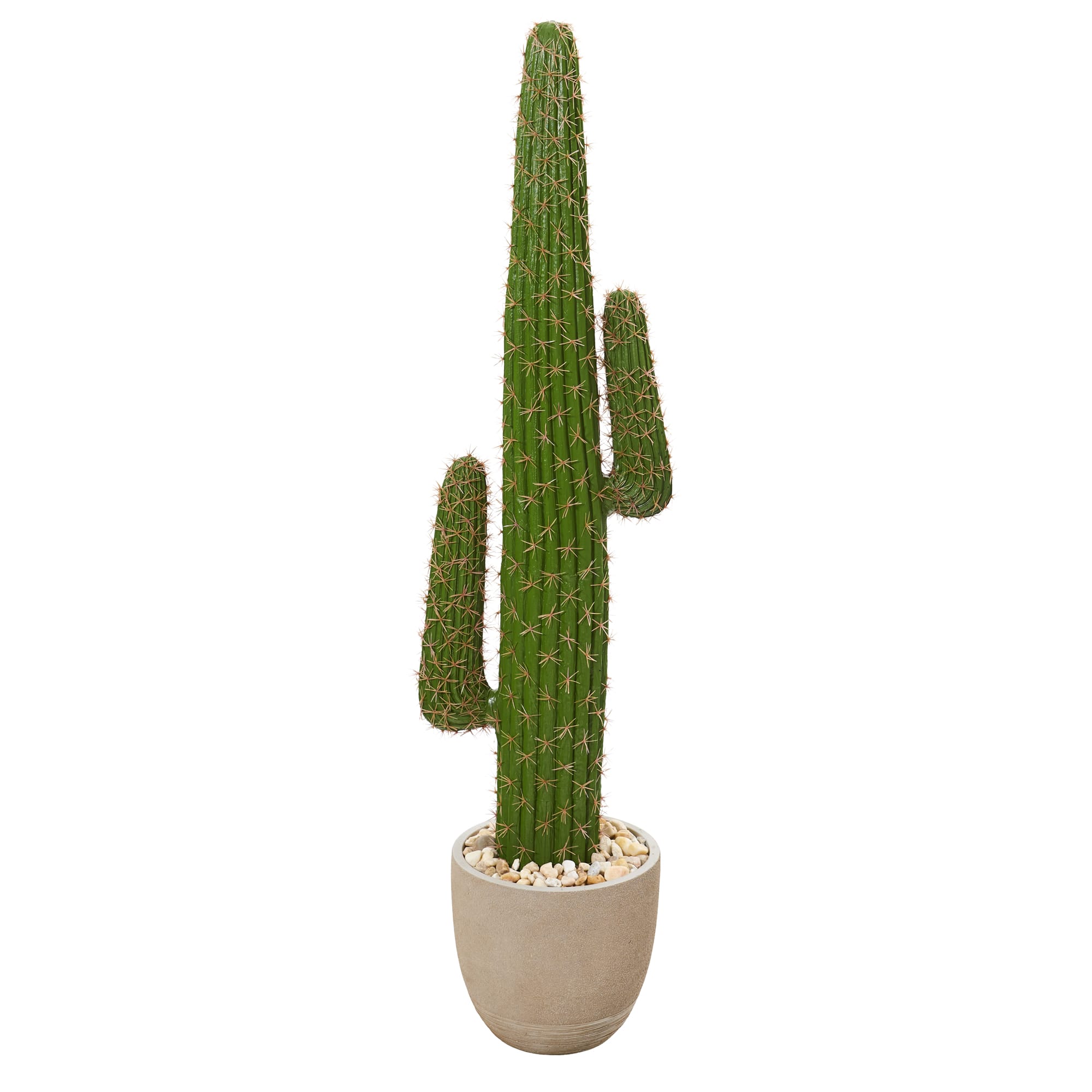 4.6ft. Cactus Artificial Plant in Sandstone Planter