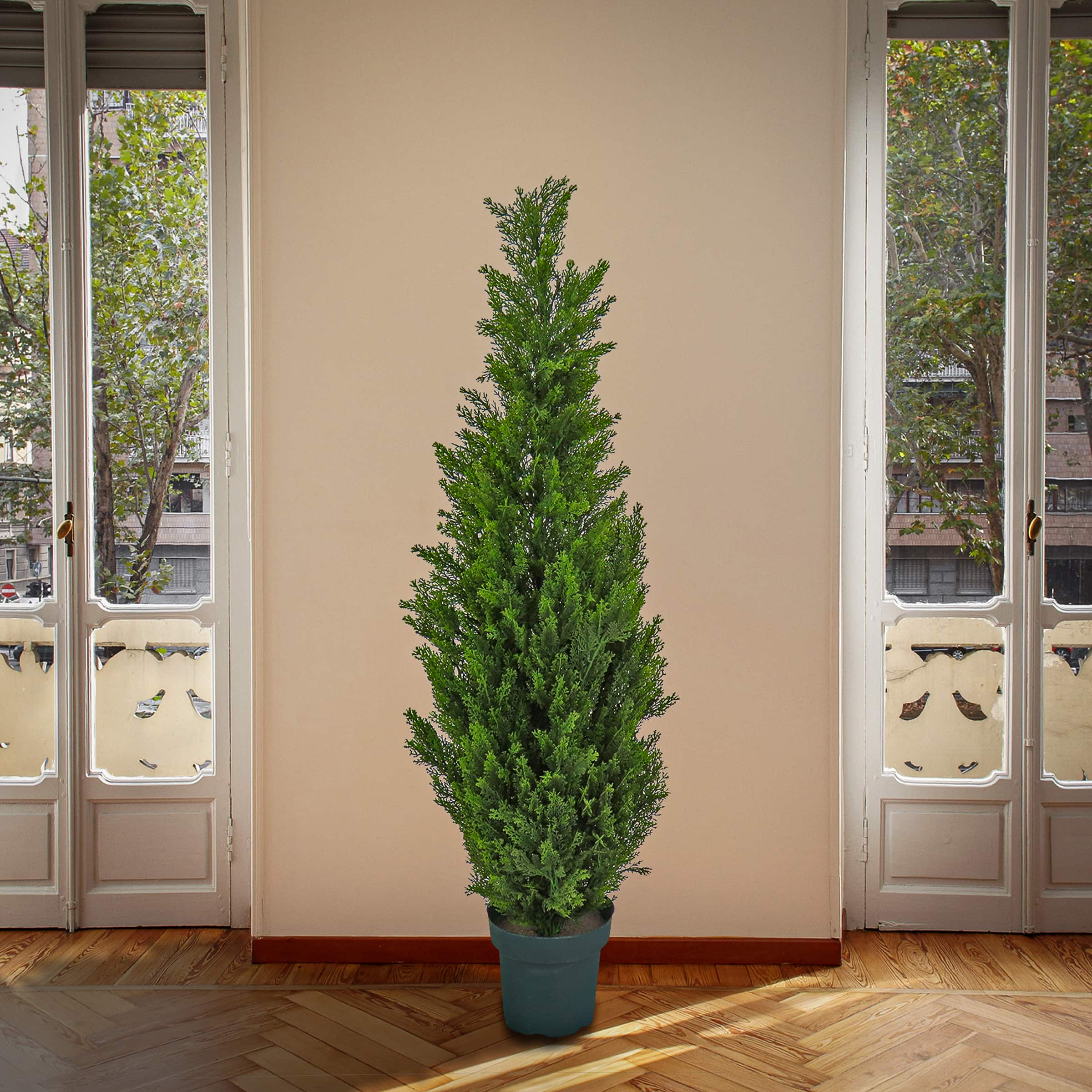 50&#x22; Cedar Tree