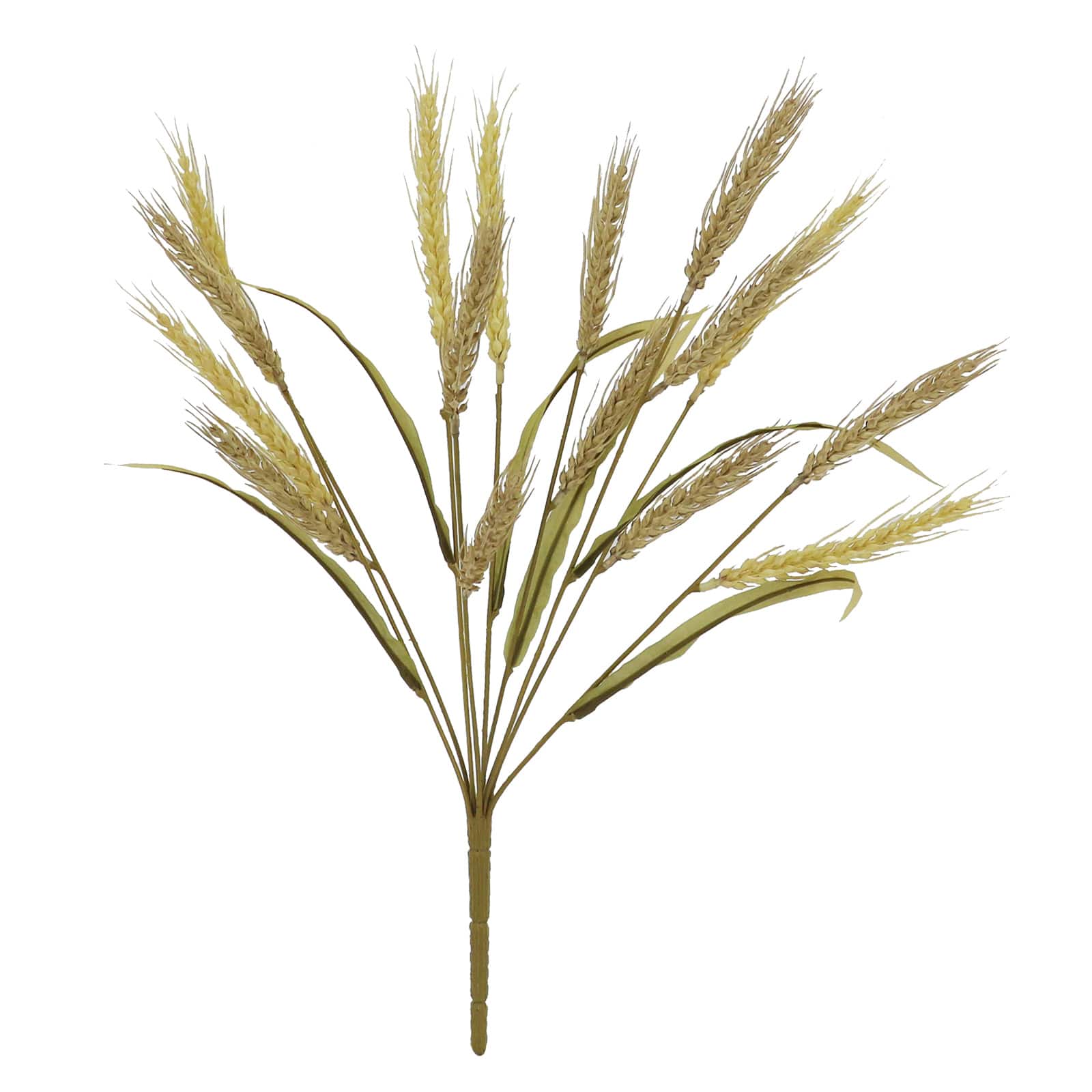 18&#x22; Wheat Bush by Ashland&#xAE;