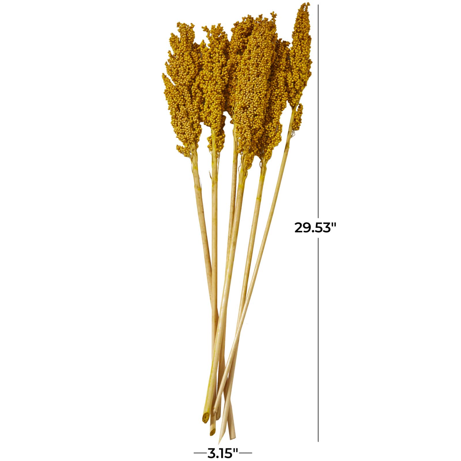 Dried Corn Maize Natural Foliage with Long Stems