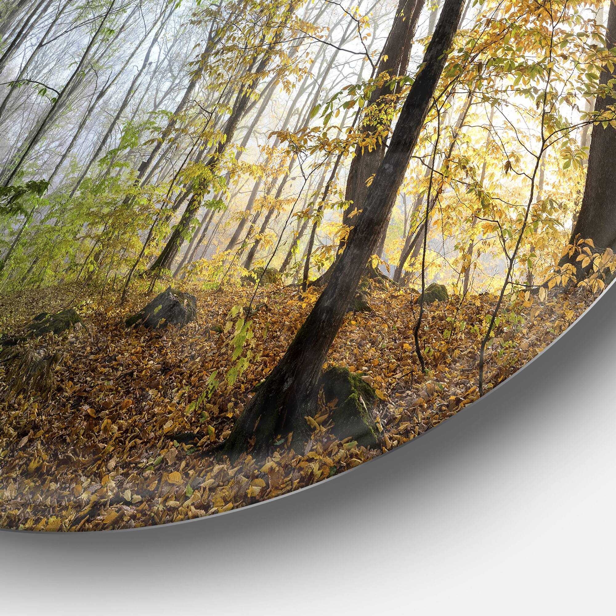 Designart - Morning Forest Panoramic View&#x27; Landscape Photography Circle Metal Wall Art