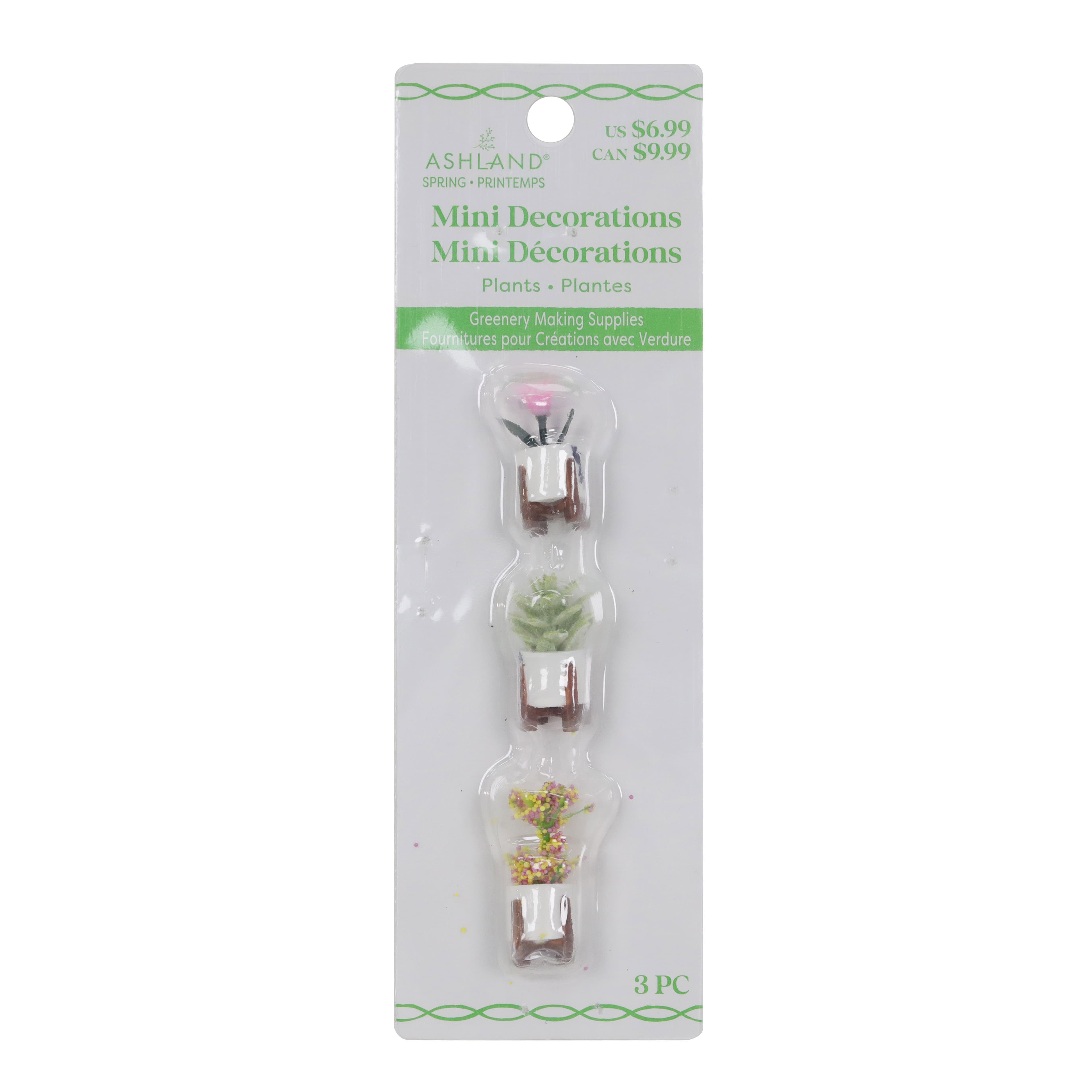 Mini Plant Decoration Set by Ashland&#xAE;