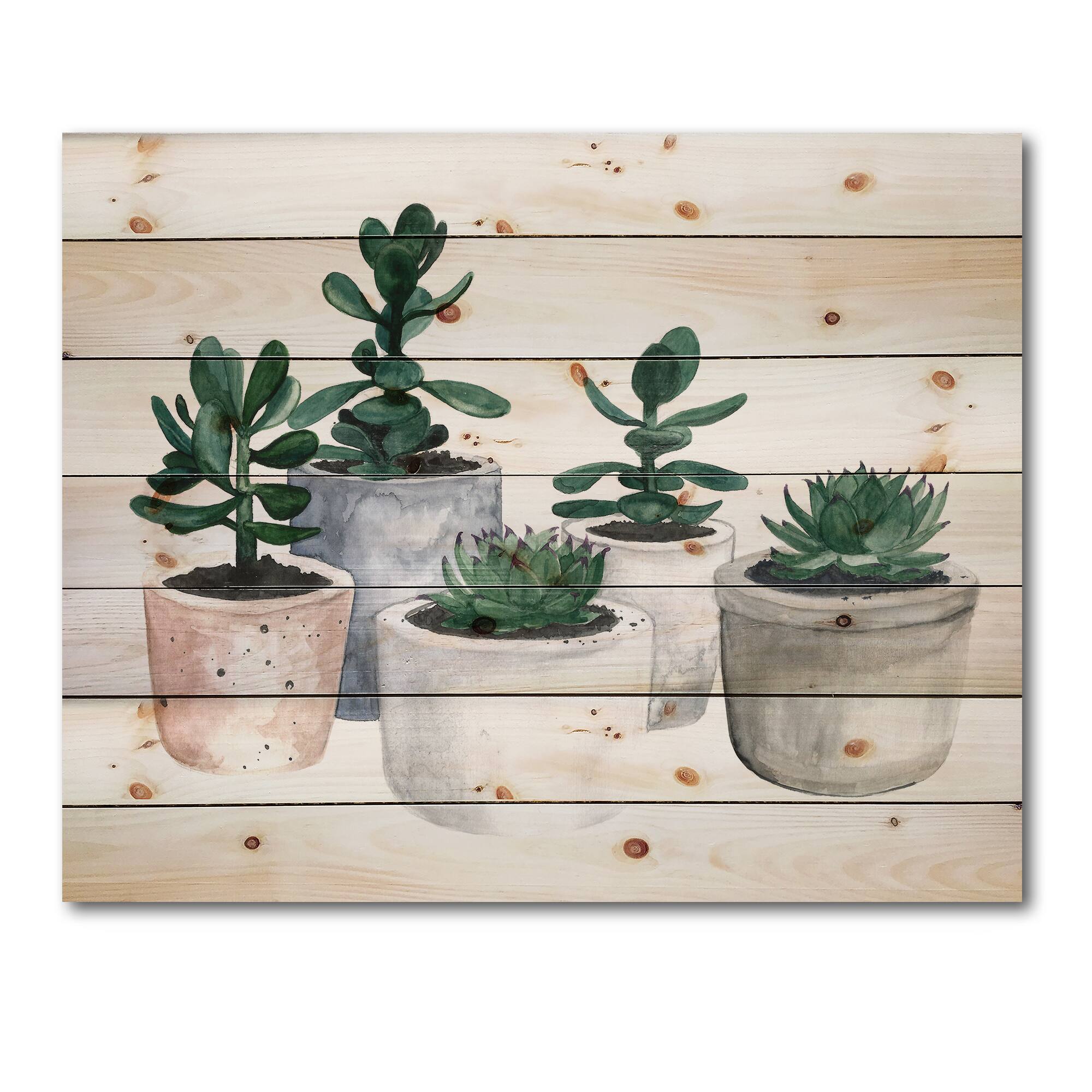 Designart - Cactus and Succulent House Plants VI