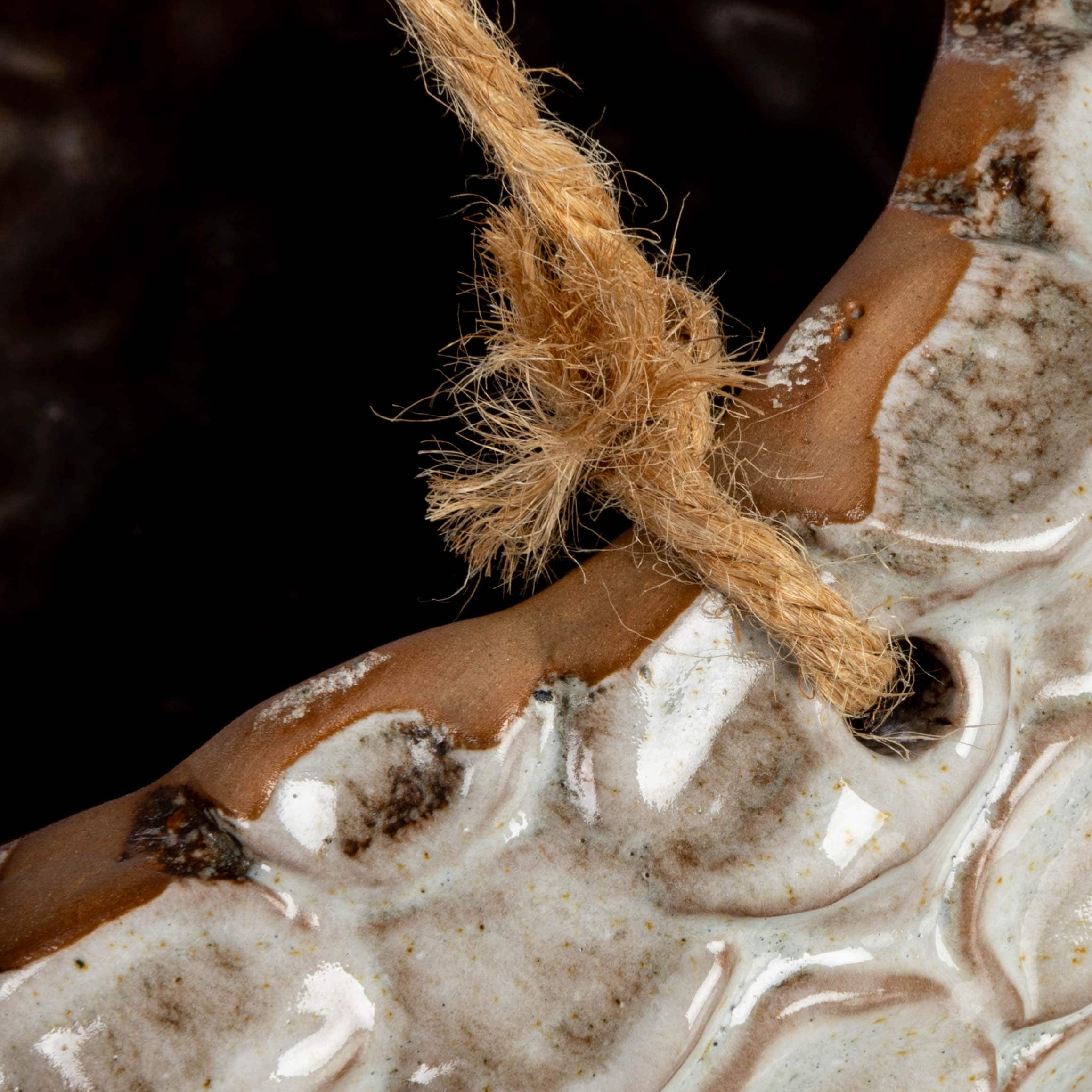 Hello Honey&#xAE; 7.5&#x22; Ivory Hanging Stoneware Seashell Planter with Rope