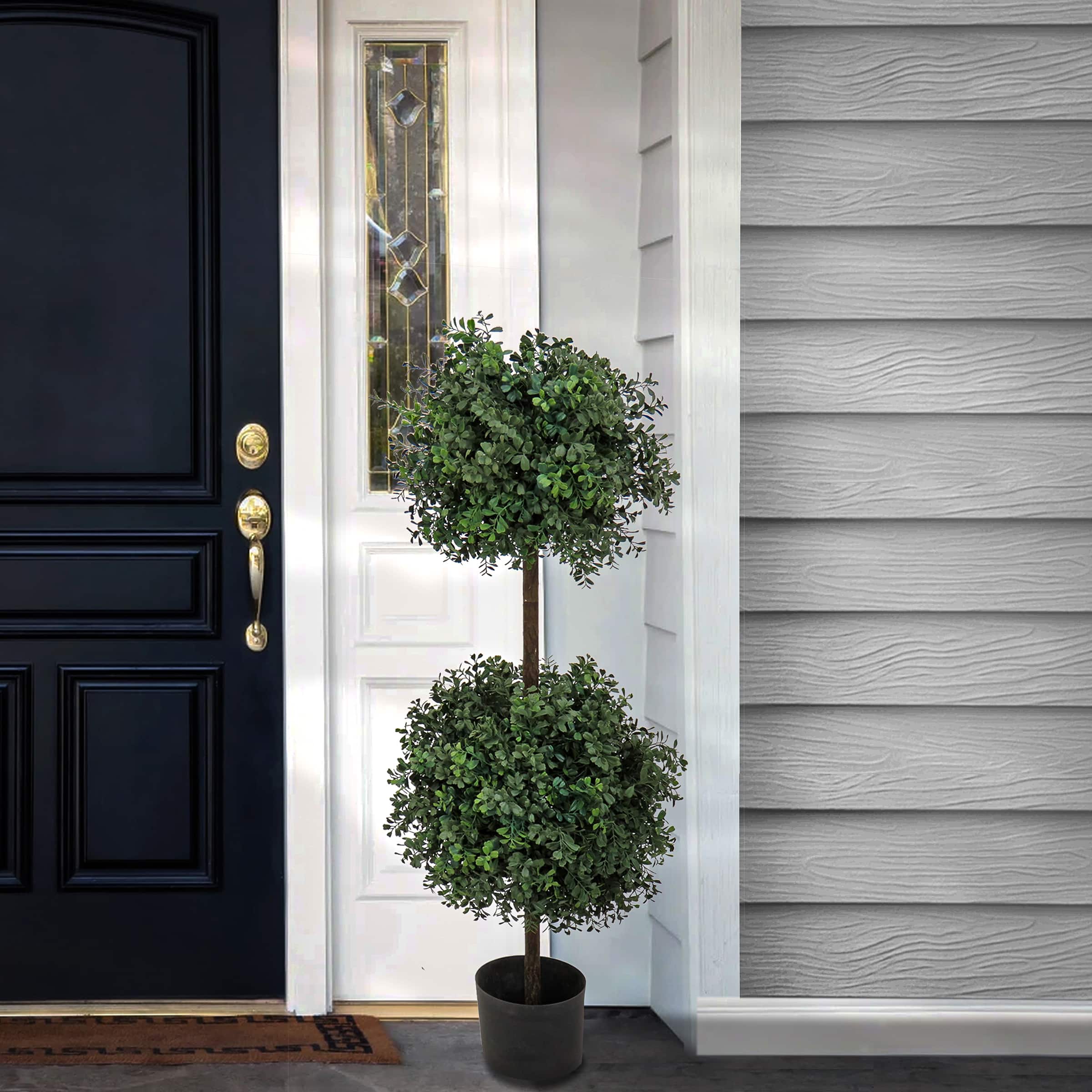 46" Boxwood Double Ball Topiary in Nursery Pot