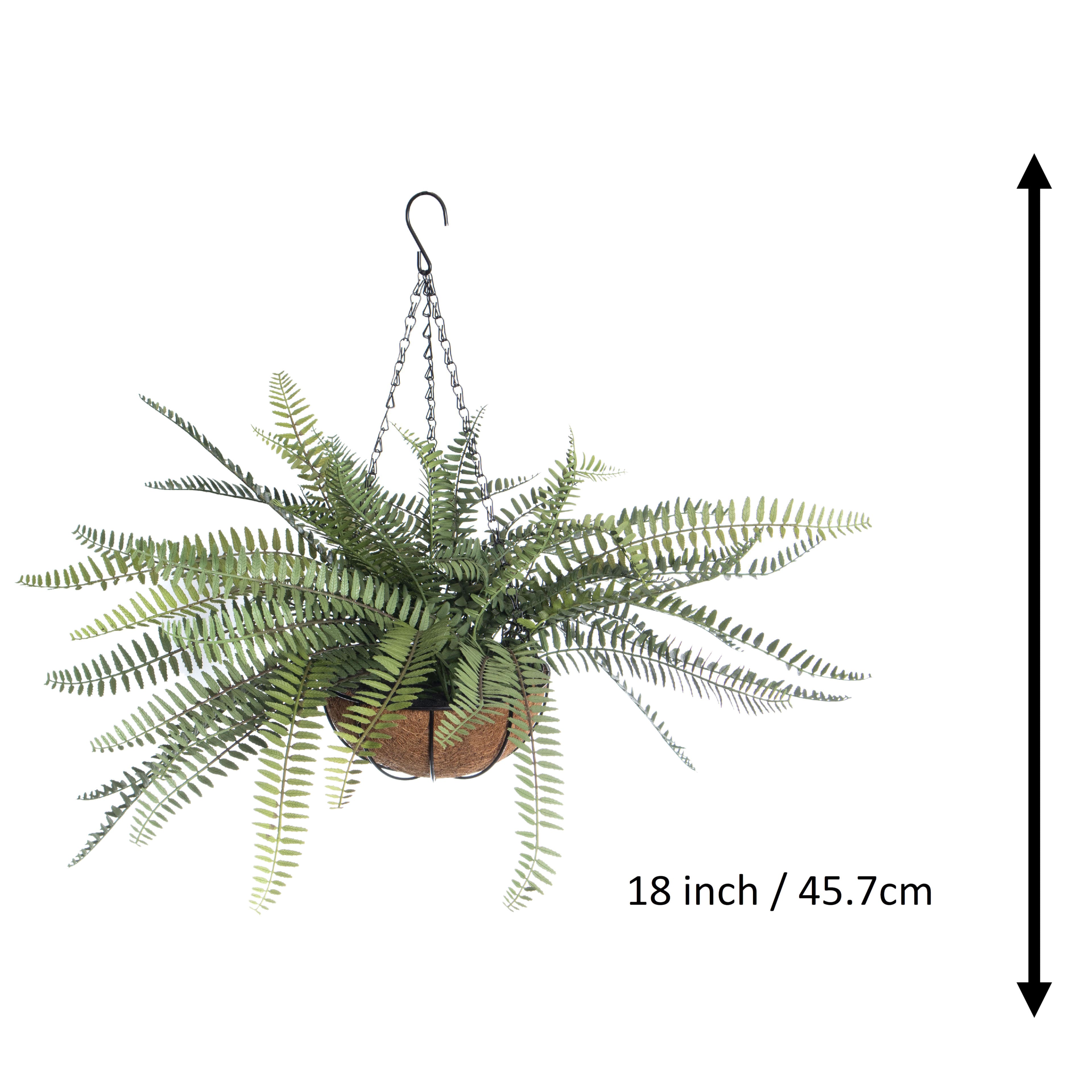 18&#x22; Hanging Basket Fern by Ashland&#xAE;