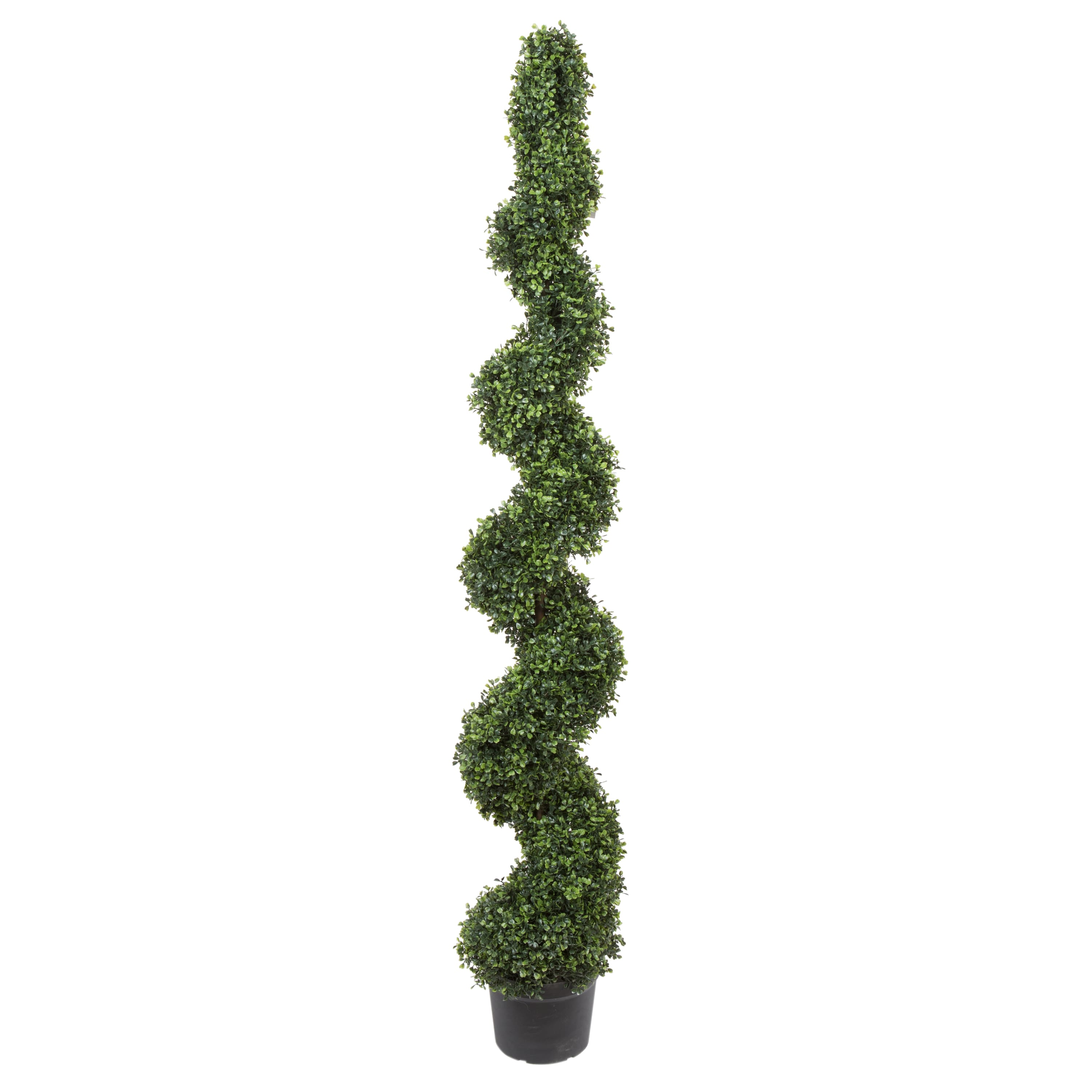 6ft. Potted Boxwood Spiral Tree | Michaels