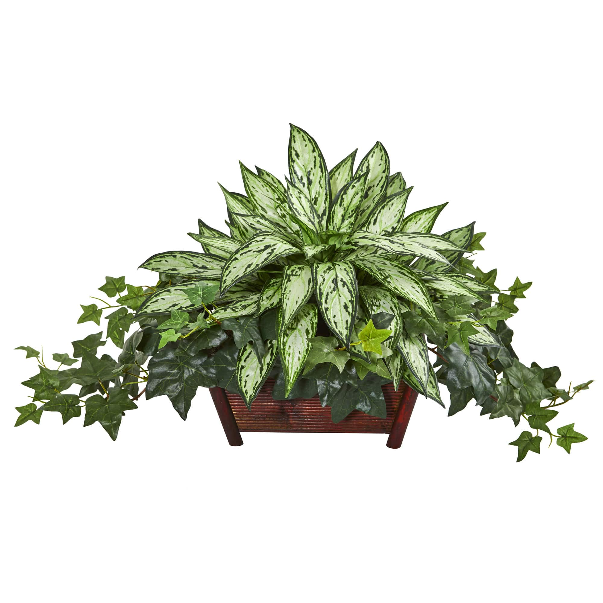 17&#x22; Silver Queen &#x26; Ivy Plant in Decorative Planter