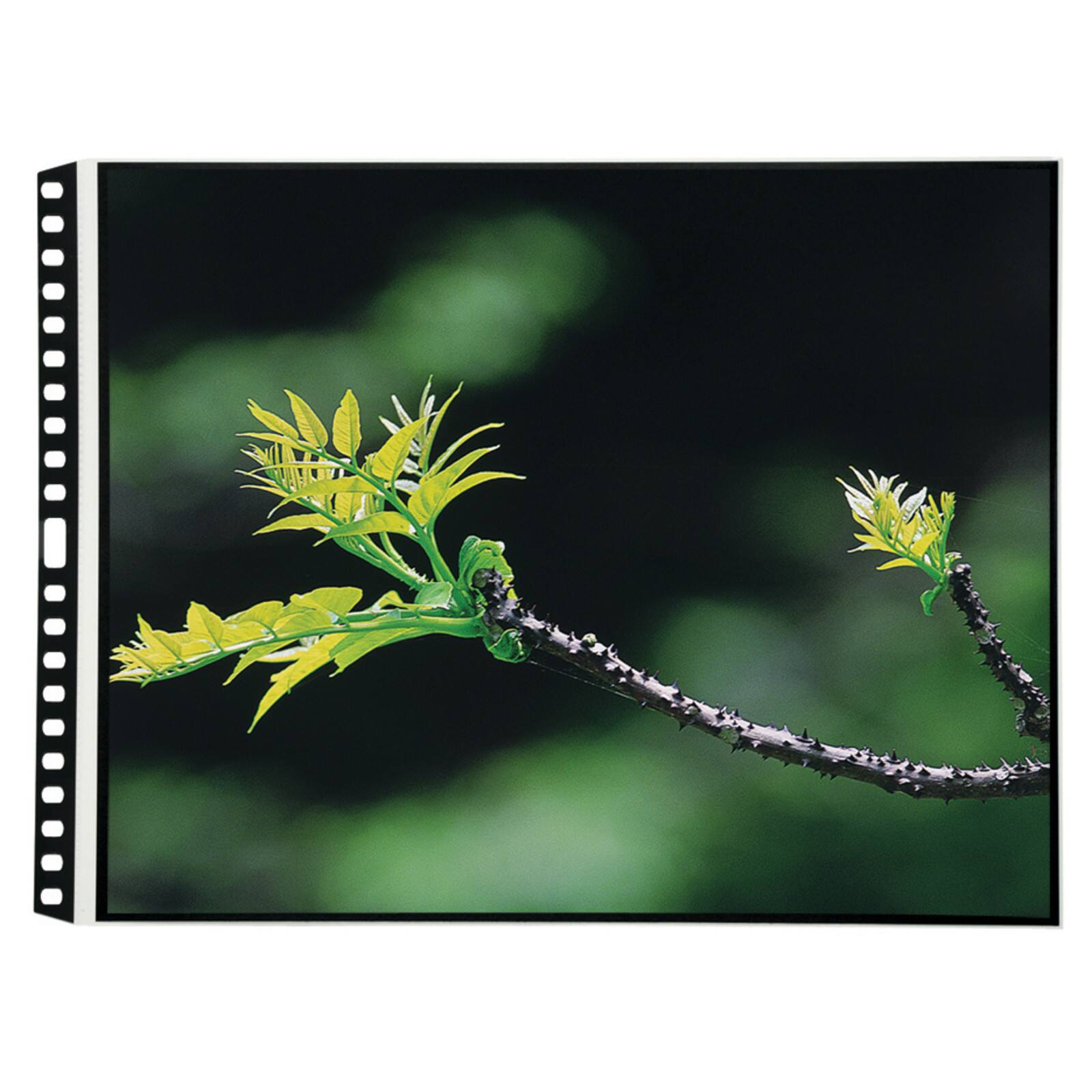 Itoya® PolyGlass® Multi-Ring Binder Refill Pages