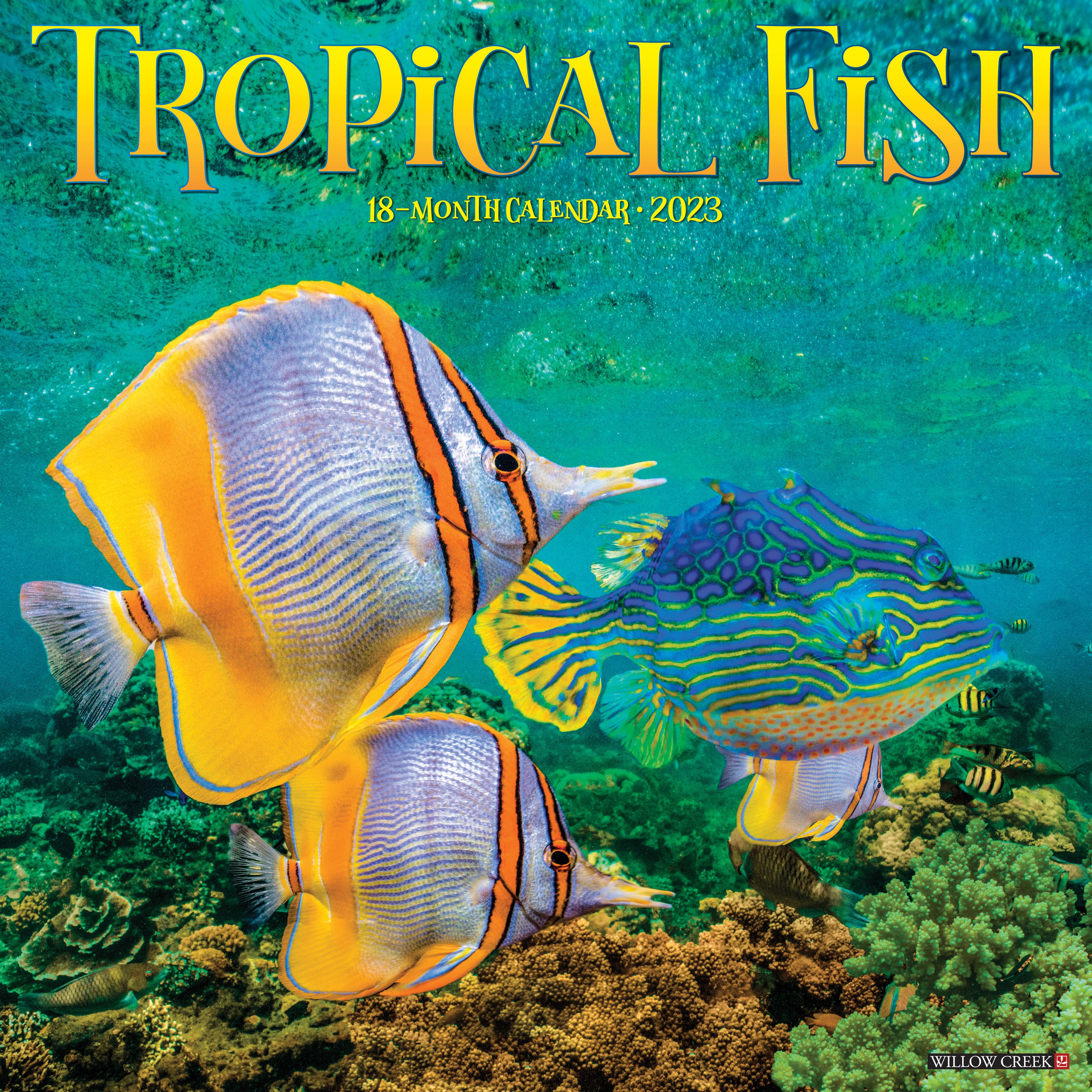 michaels tropical fish