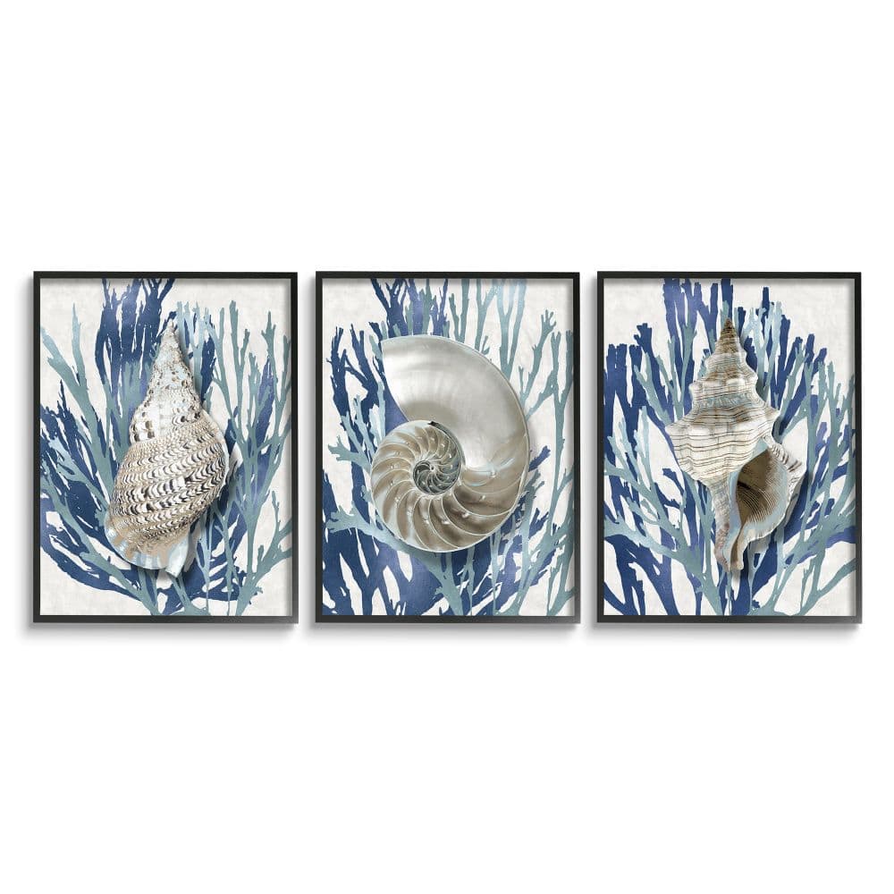 Stupell Industries Trio of Shell Coral Blue Beach Design in Black Frame Wall Art