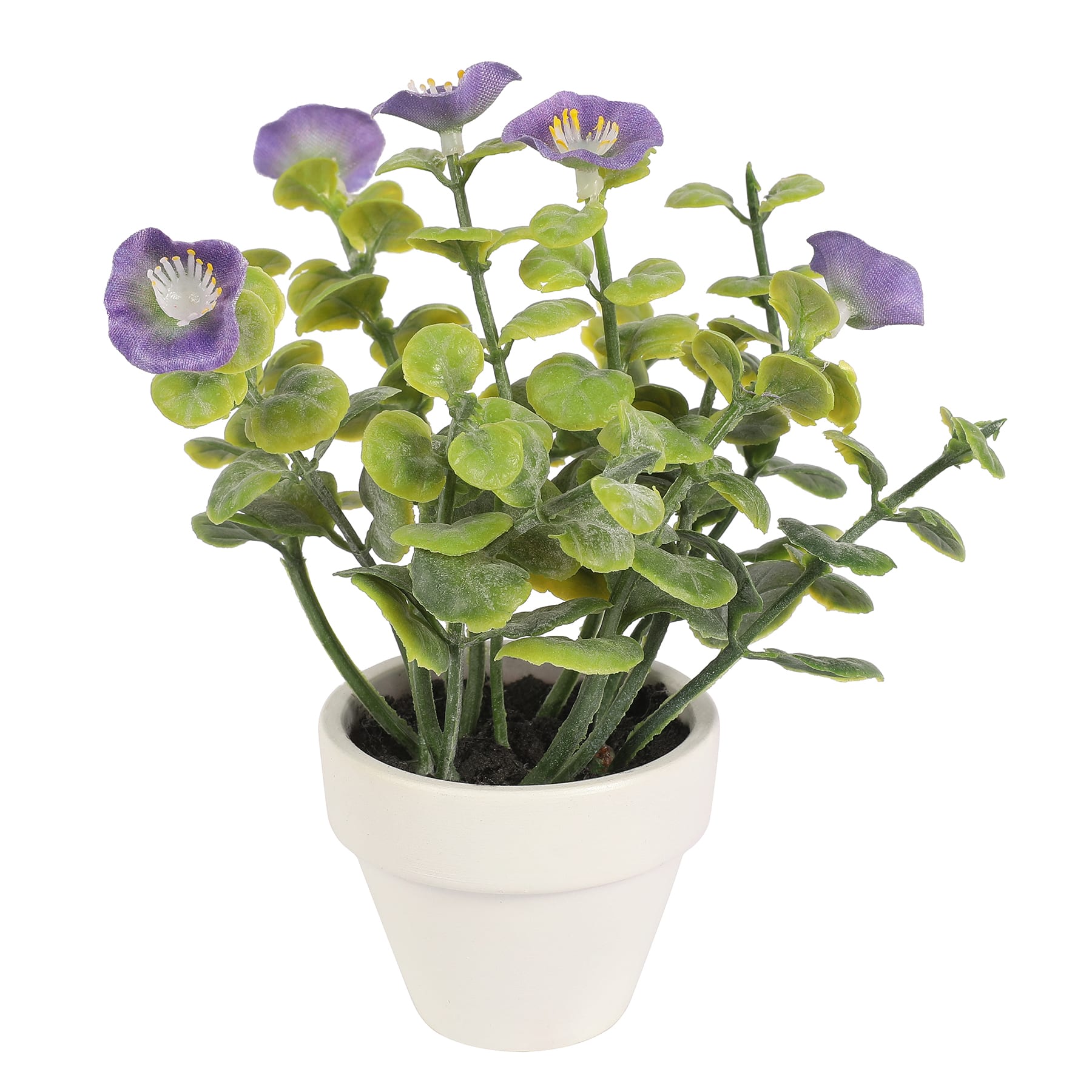 Assorted Micro Premade Flowering Plant by Ashland&#xAE;
