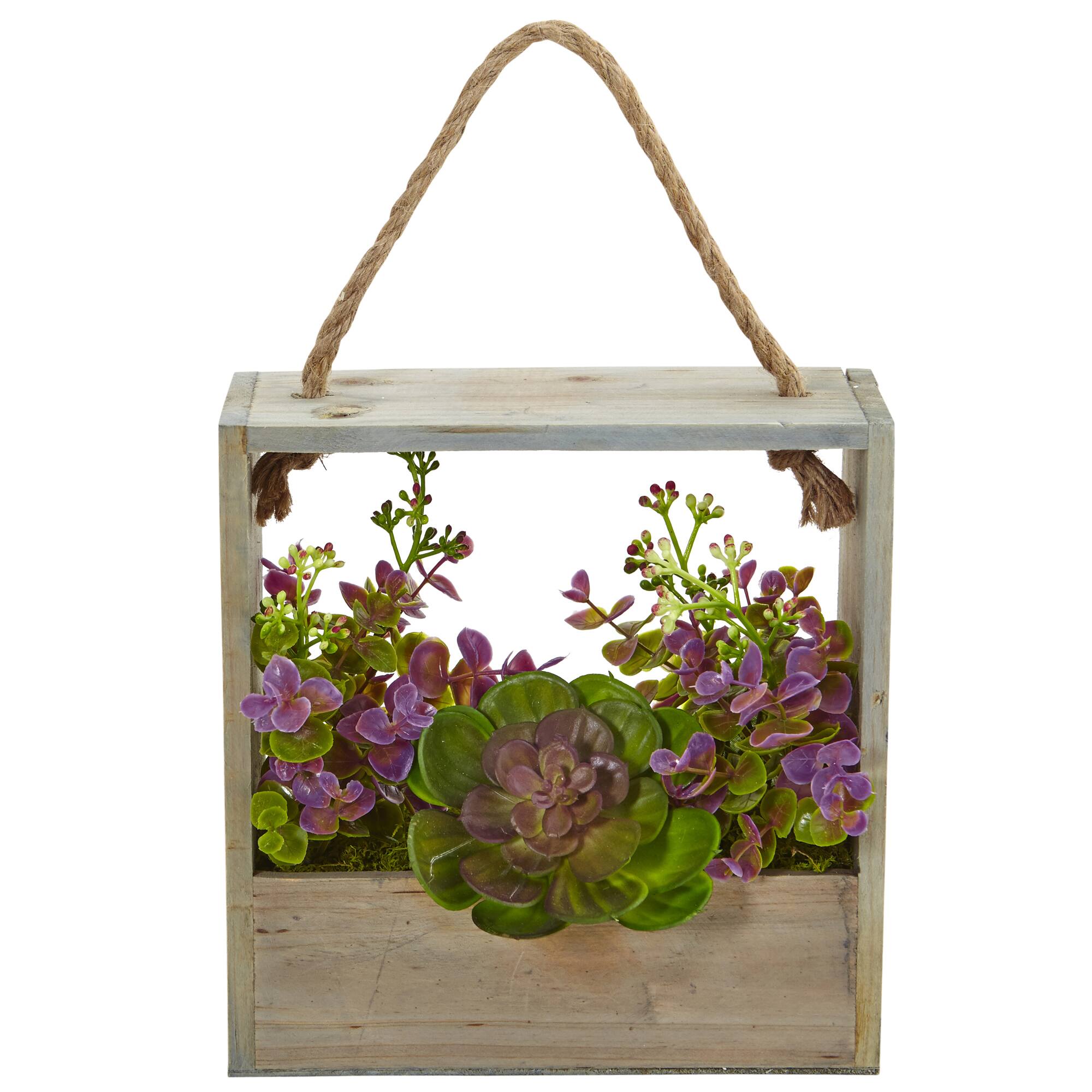 12.5" Succulent & Eucalyptus Plant in Hanging Frame