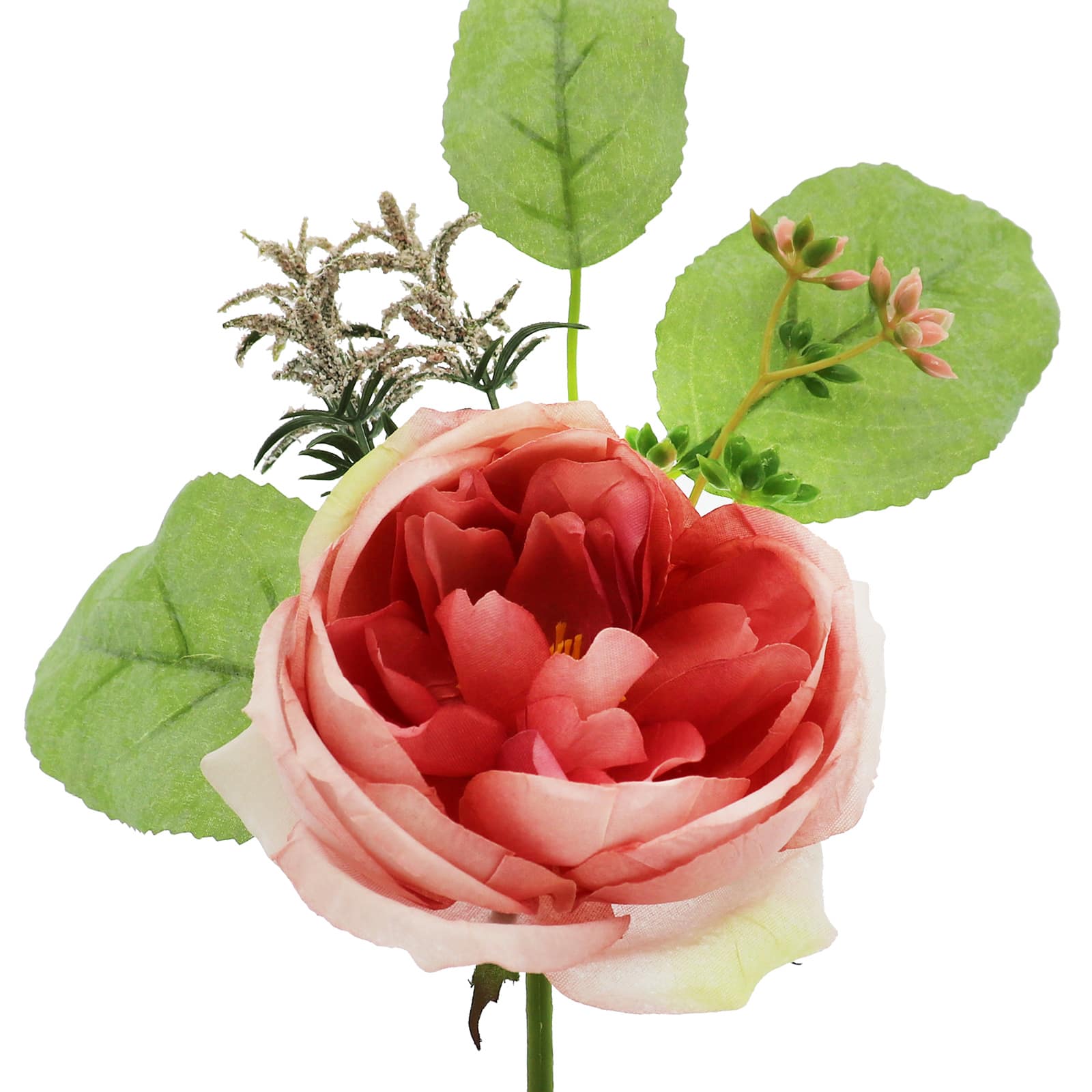 Tige de rose cent-feuilles rose d&#x2019;Ashland, 22,8&#xA0;cm