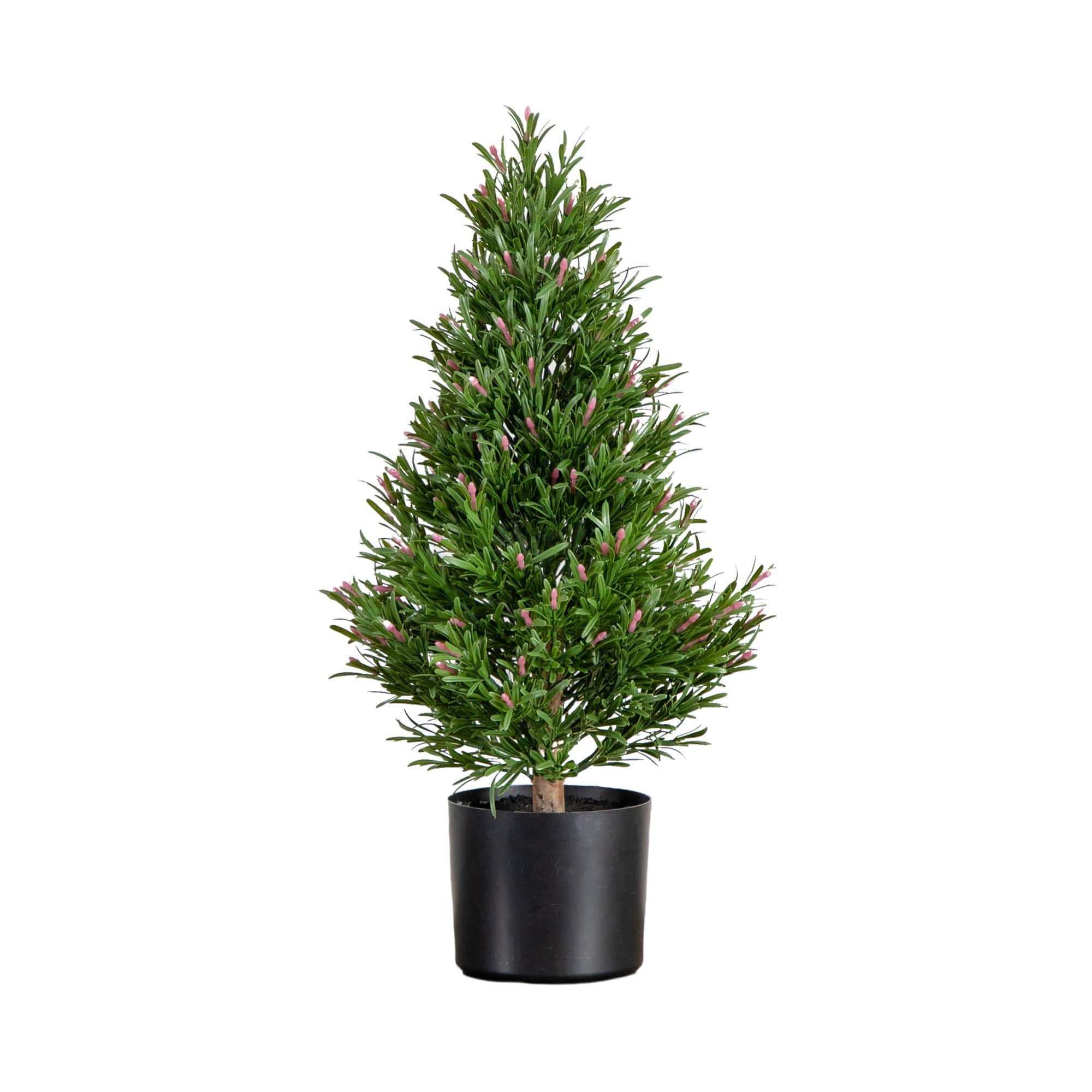 2ft. Potted UV Resistant Rosemary Cone Topiary Tree
