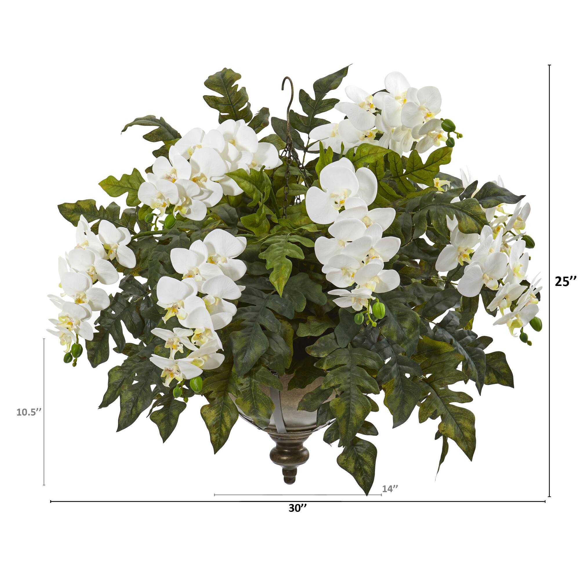 2ft. Cream Orchid & Holly Fern Arrangement in Metal Hanging Bowl