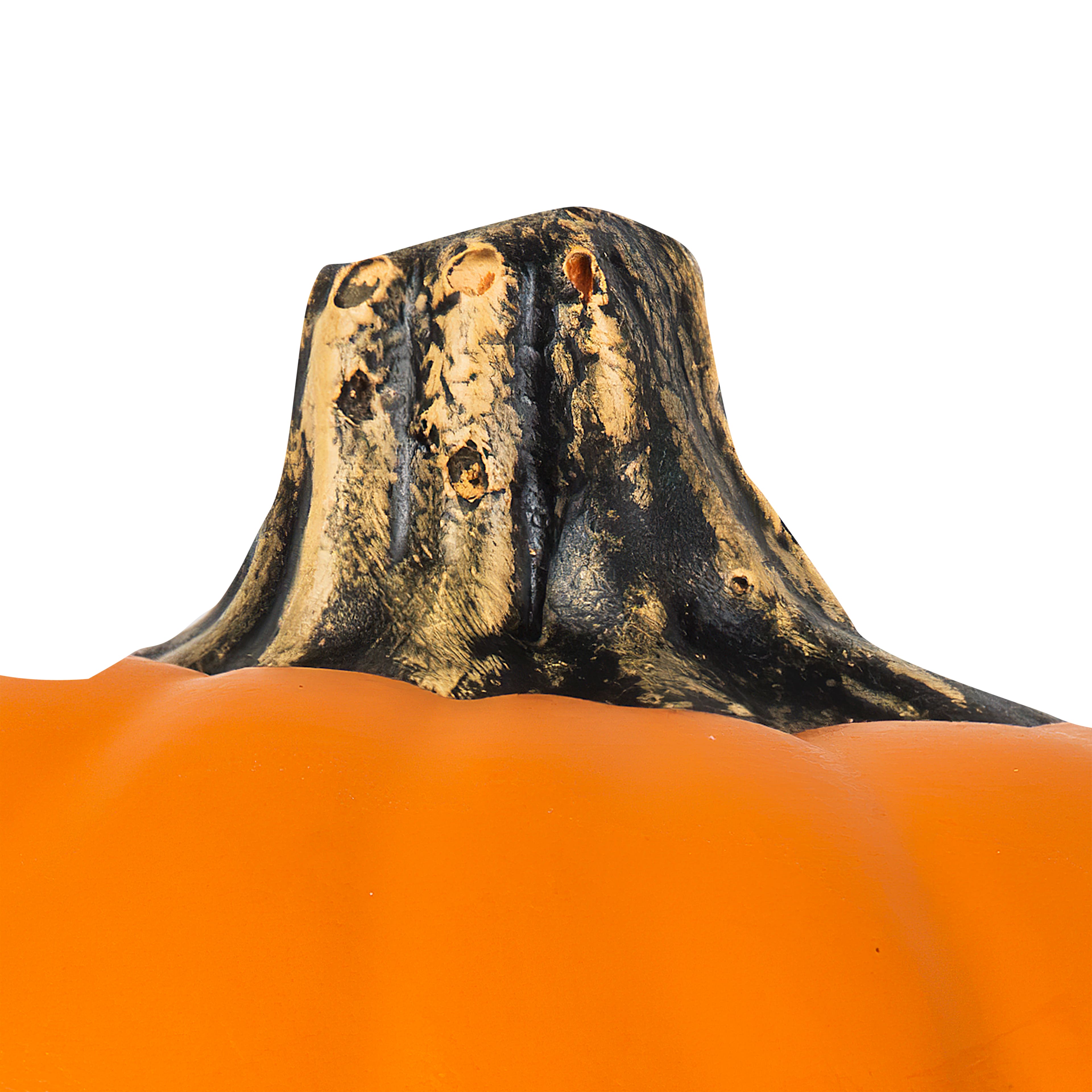Orange Craft Pumpkin by Ashland®
