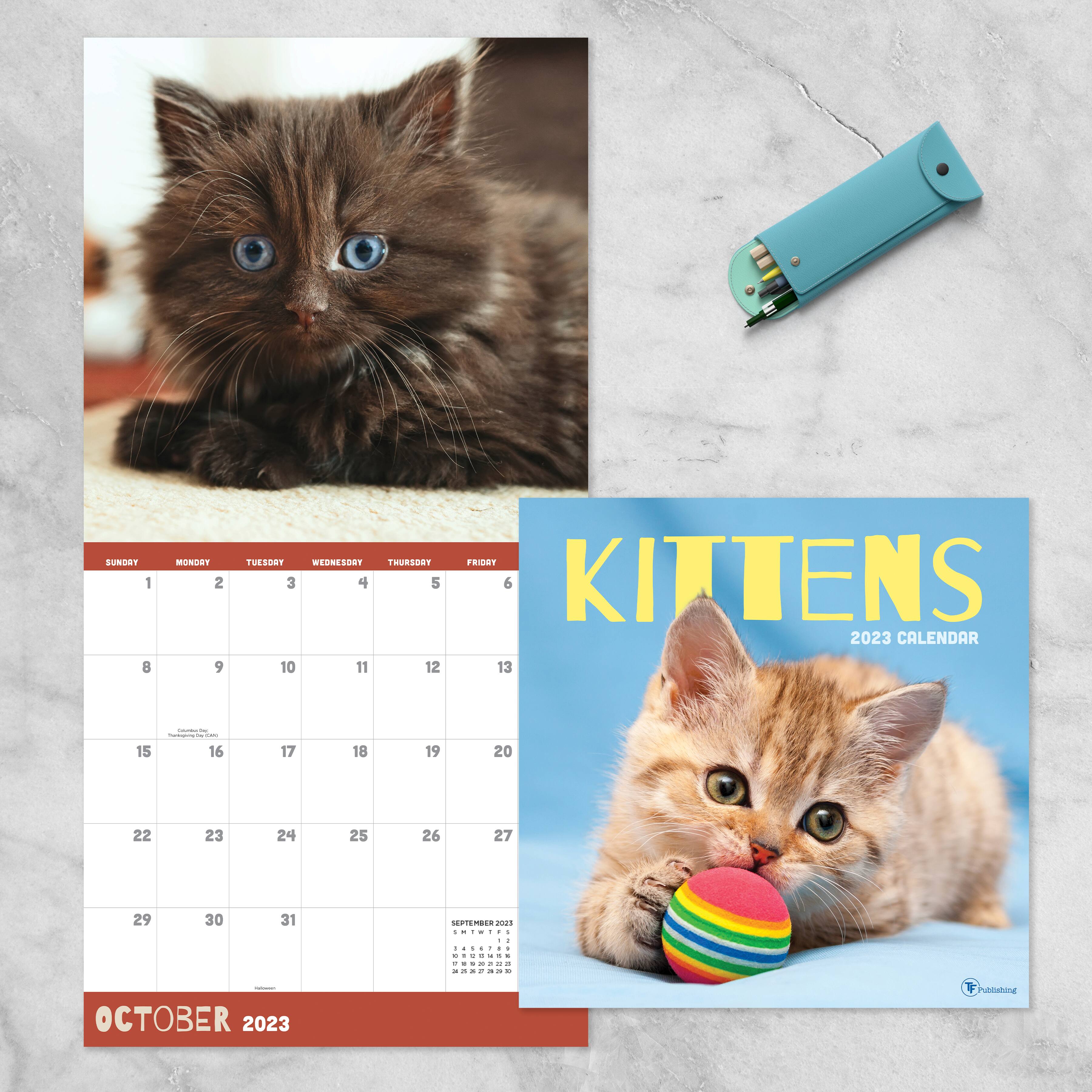 TF Publishing 2023 Kittens Wall Calendar | Michaels