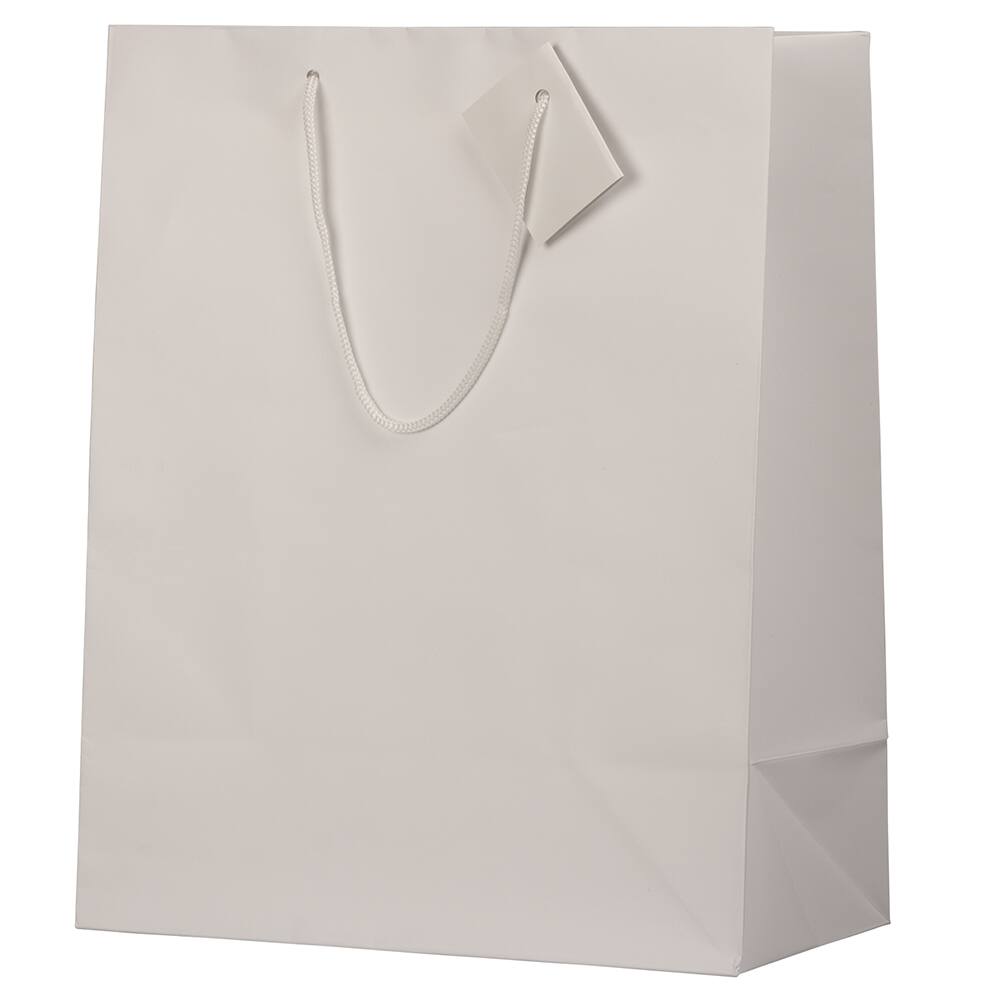 JAM Paper Large Matte Gift Bag, 3ct.
