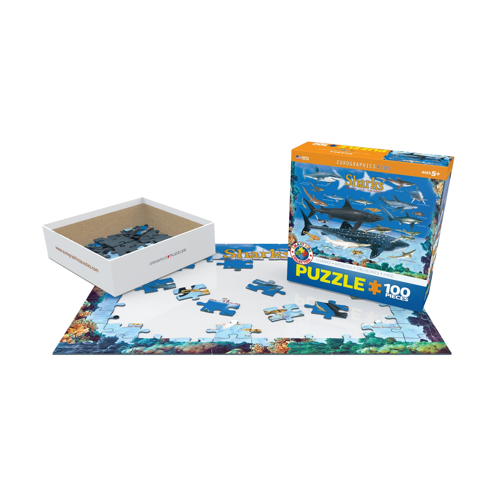 Smart Kids Collection - Sharks: 100 Pcs