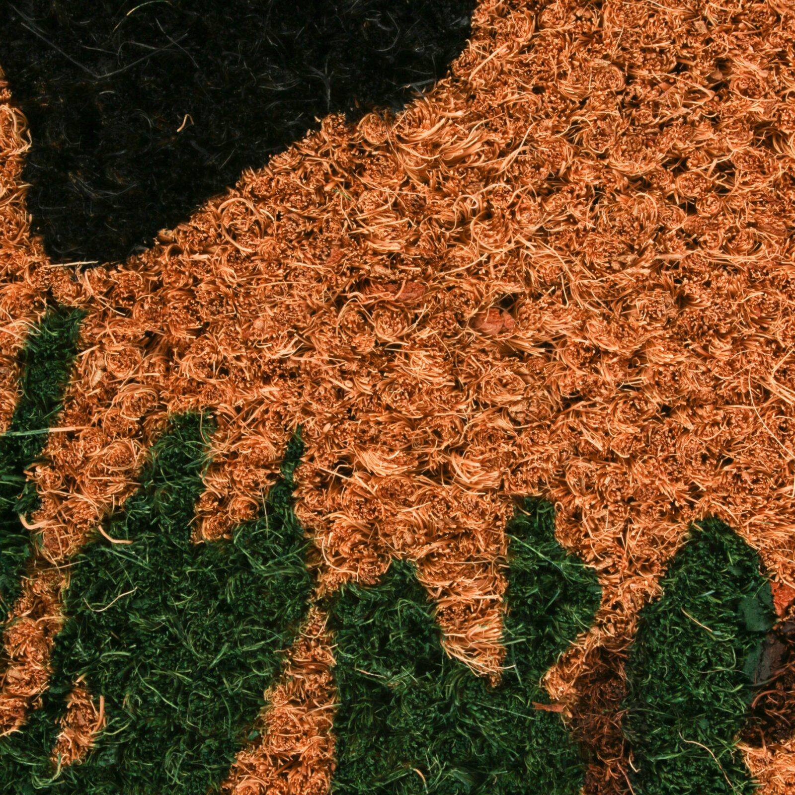 DII® Bear Country Doormat