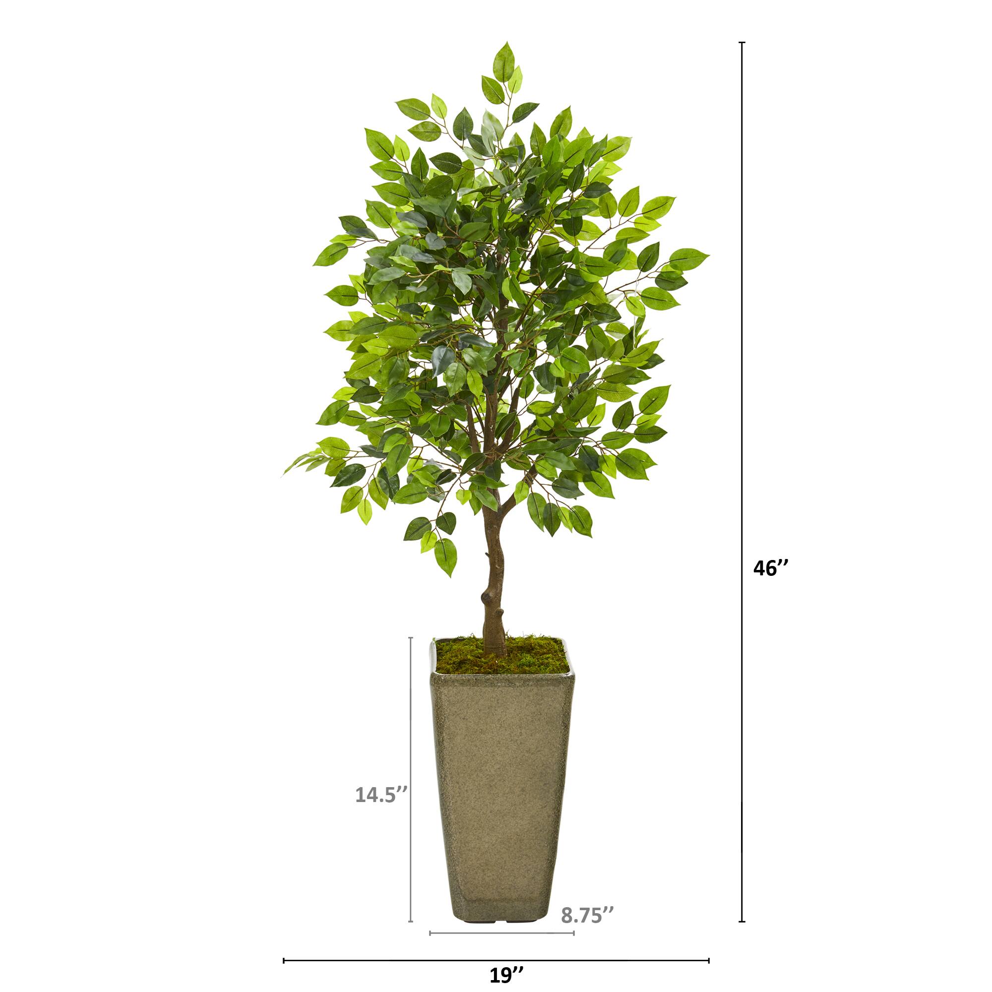 4ft. Ficus Tree in Green Planter | Michaels