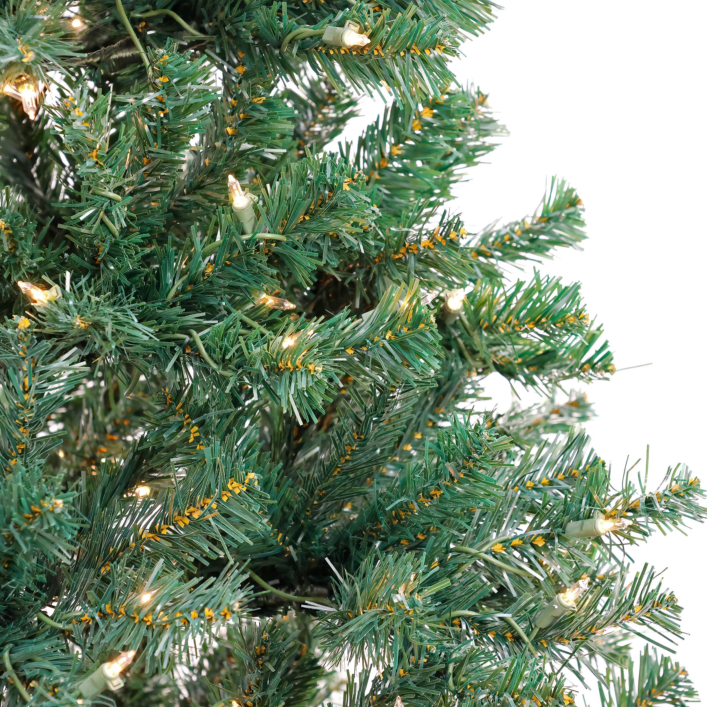 6ft. Pre-Lit Acacia Artificial Christmas Tree, Clear Lights