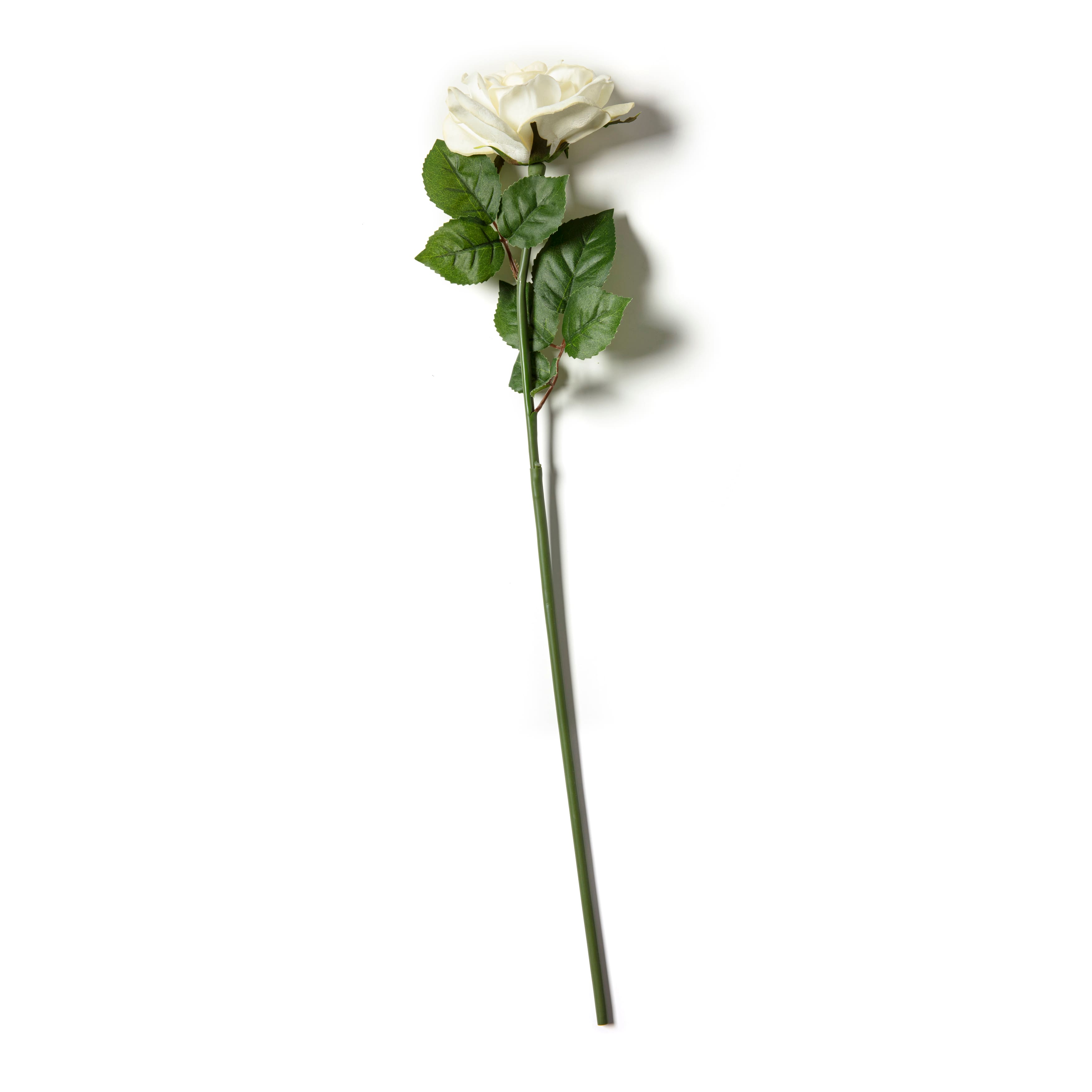 6 Pack: White Rose Stem by Ashland®