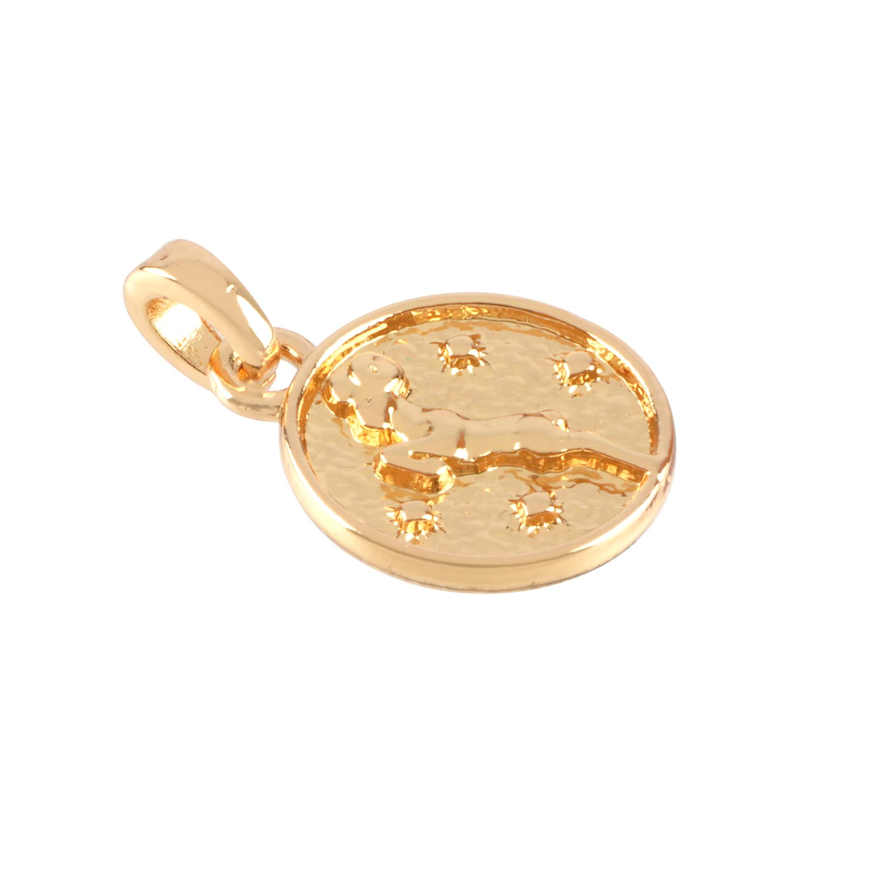12 Pack: Metal Zodiac Coin Charm by Bead Landing&#x2122;