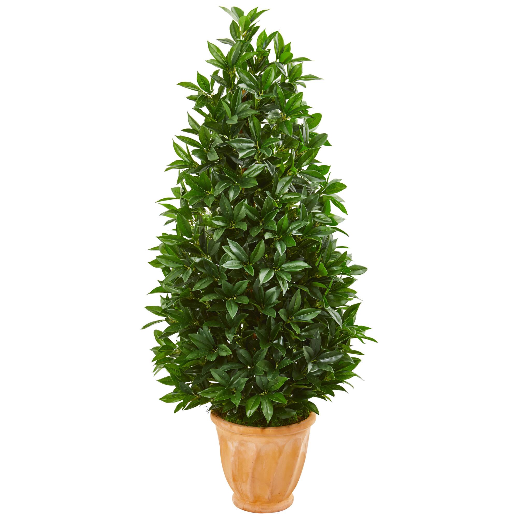 4.5ft. Bay Leaf Topiary Tree in Terra Cotta Planter