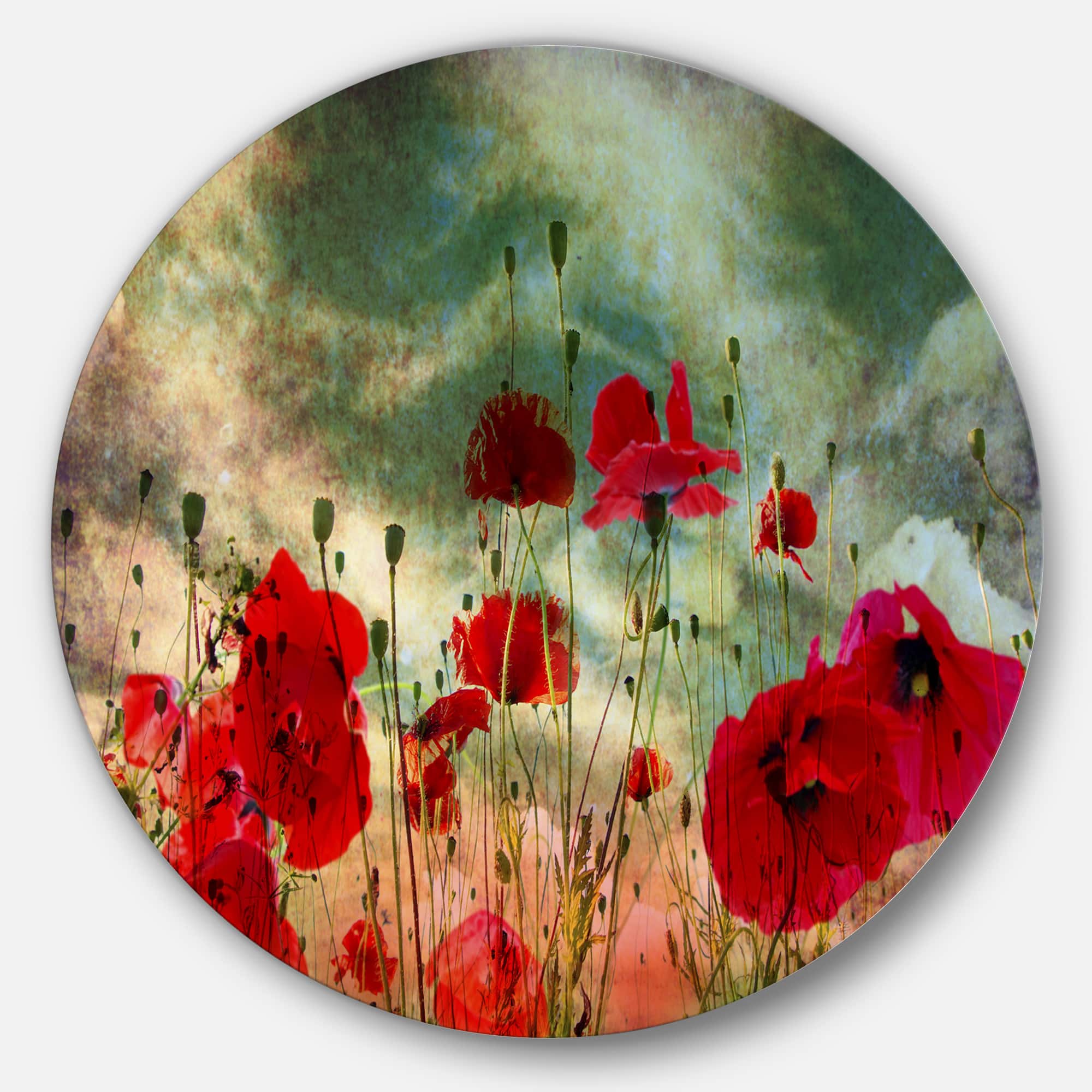 Designart - Wild Red Poppy Flowers in Sky' Floral Metal Circle Wall Art