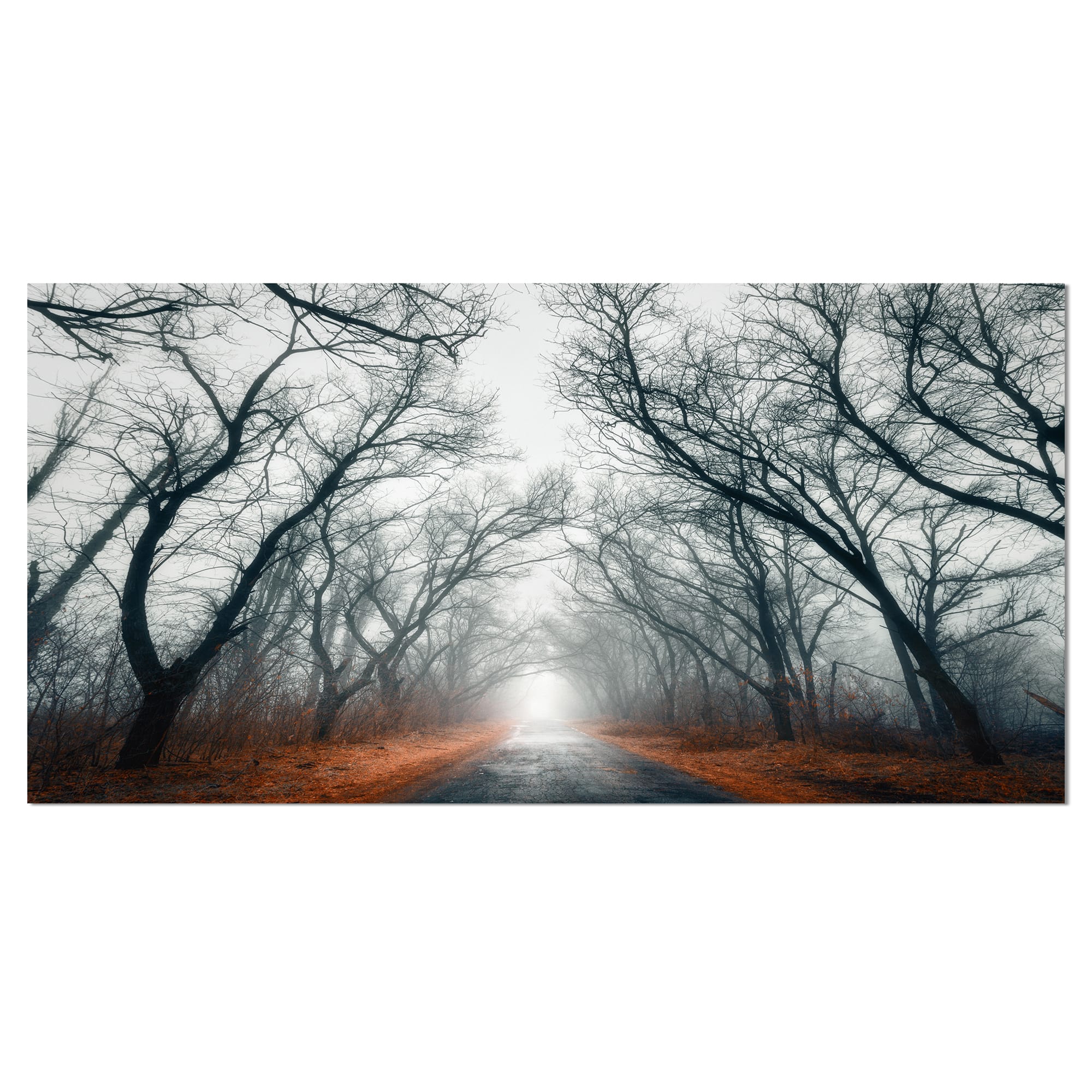 Designart - Mystic Road in Forest - Landscape Photography Canvas Print