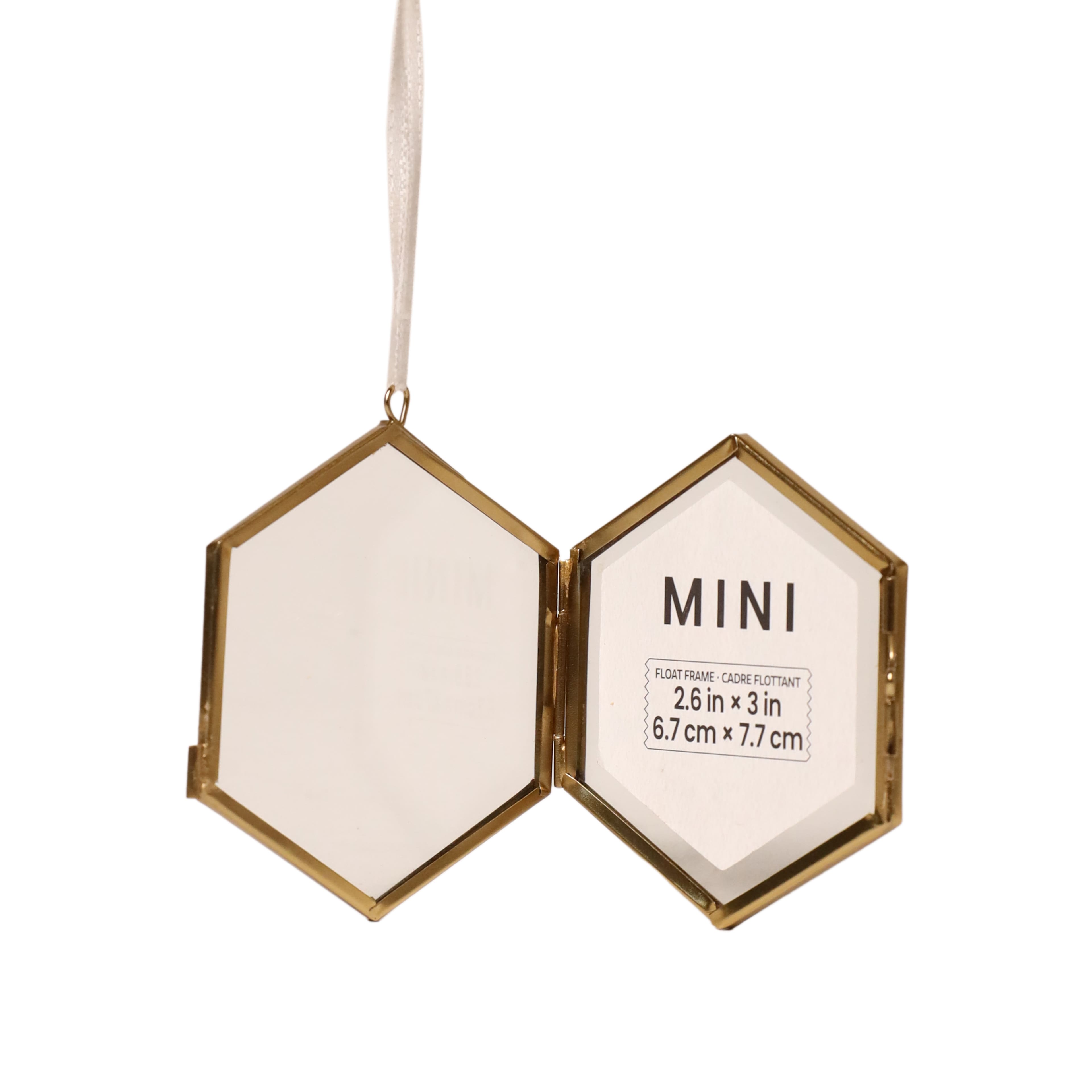 Mini Hexagon Float Frame by Studio D&#xE9;cor&#xAE;