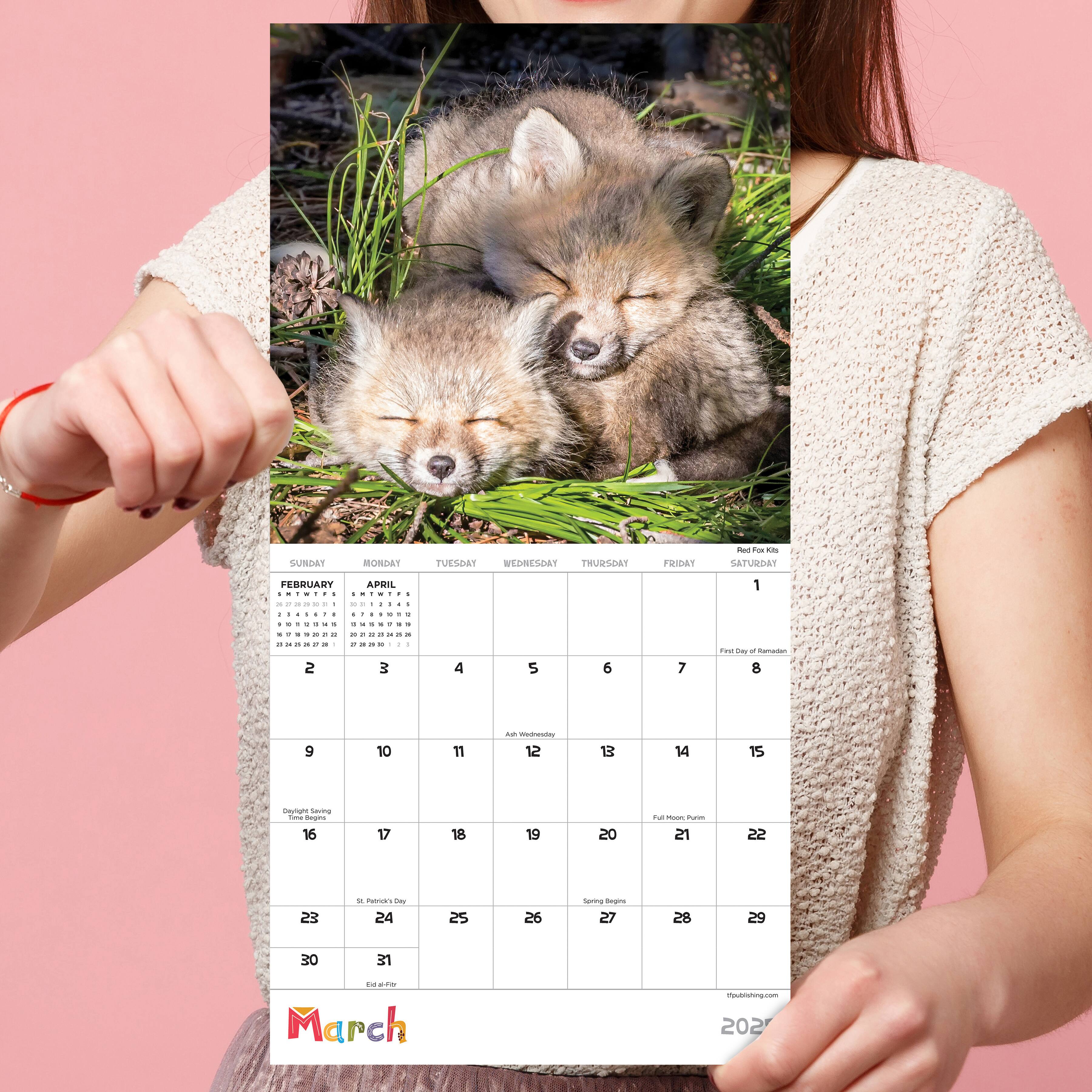 TF Publishing 2025 Baby Animals Mini Calendar