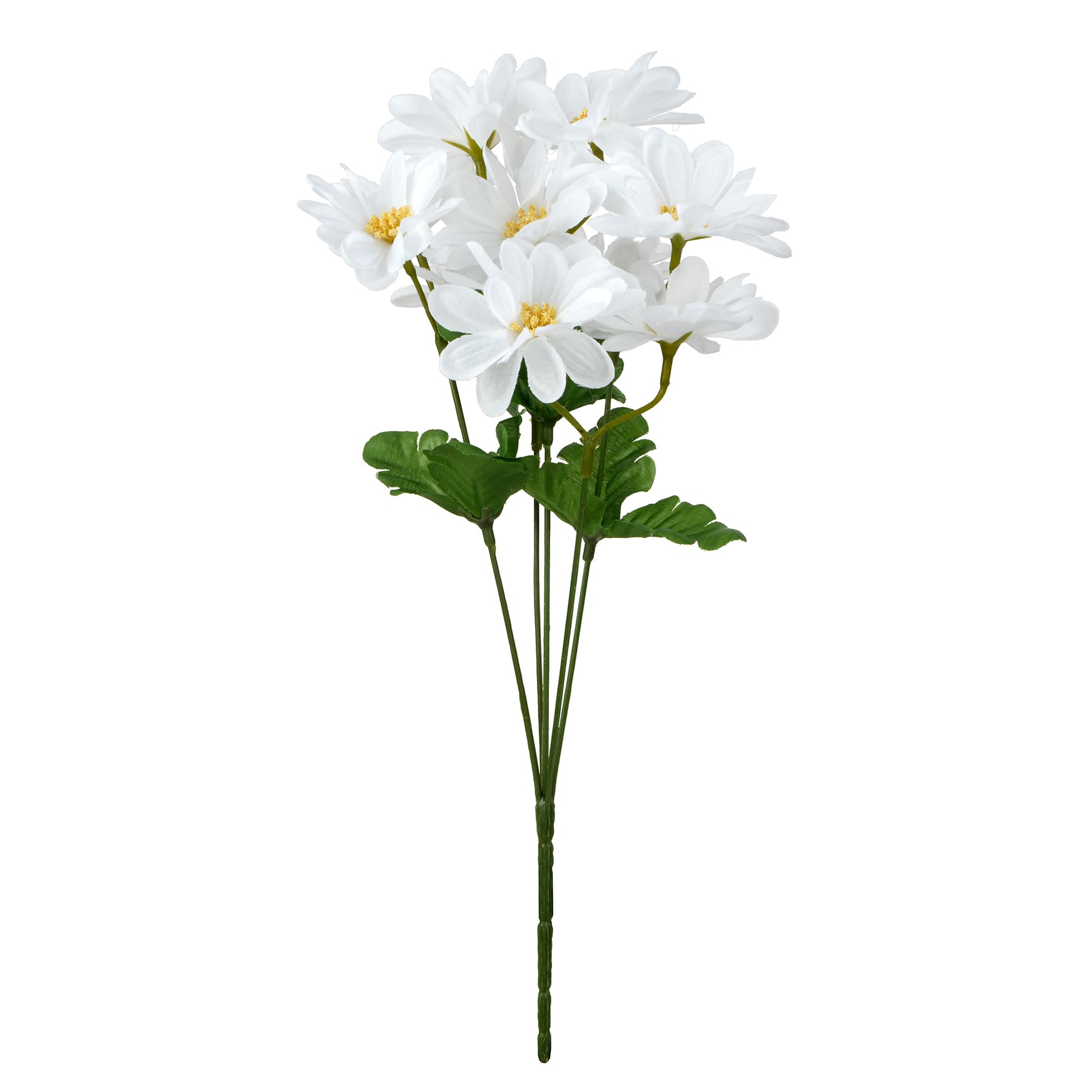 12" Daisy Bush by Ashland®