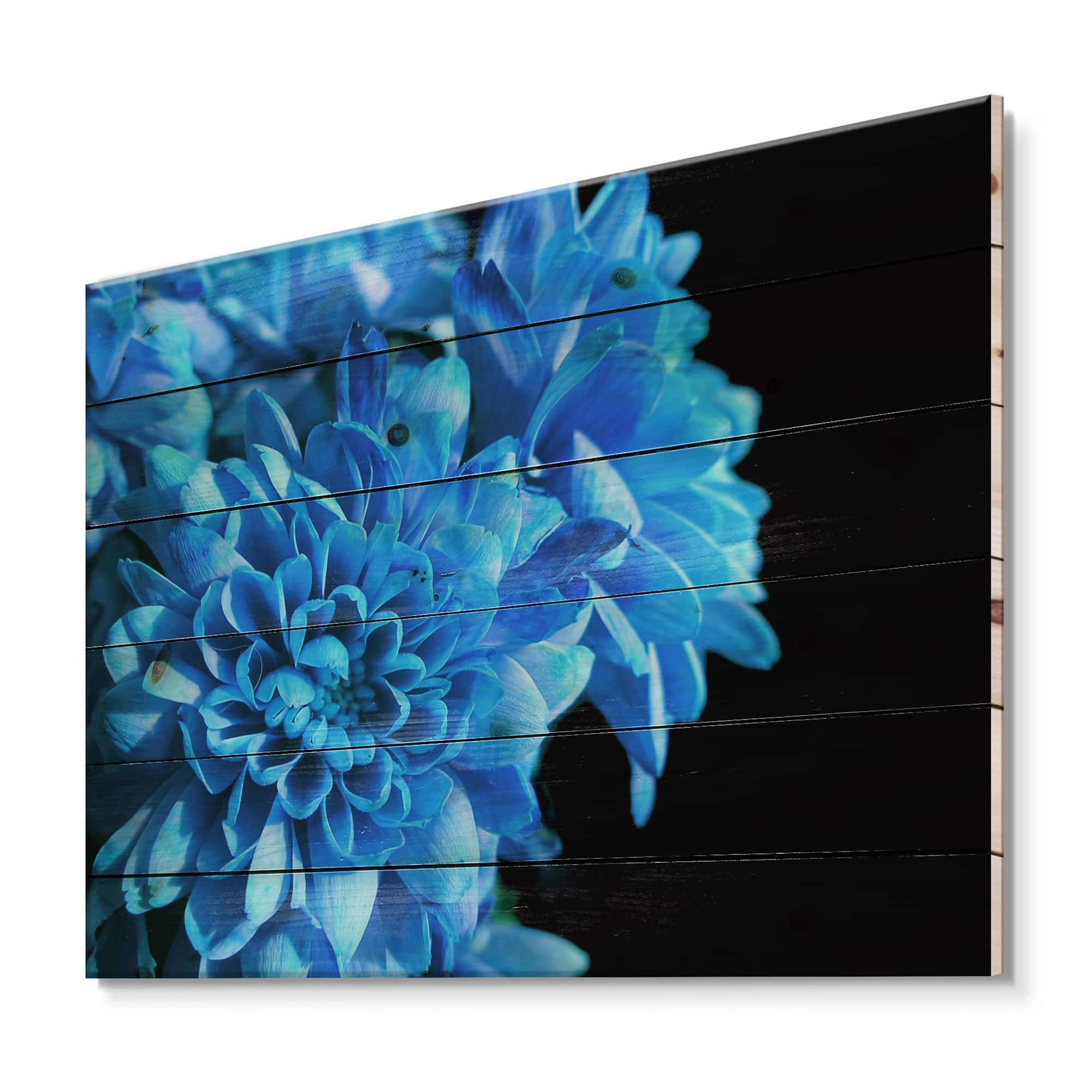 Designart - Detail of Blue Flowers On Black I - Traditional Print on Natural Pine Wood | 35" x 25" | Michaels&reg;